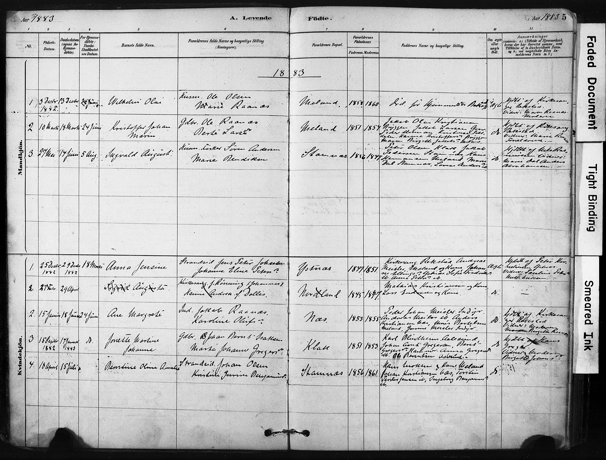 Ministerialprotokoller, klokkerbøker og fødselsregistre - Nordland, AV/SAT-A-1459/808/L0128: Parish register (official) no. 808A01, 1880-1902, p. 5