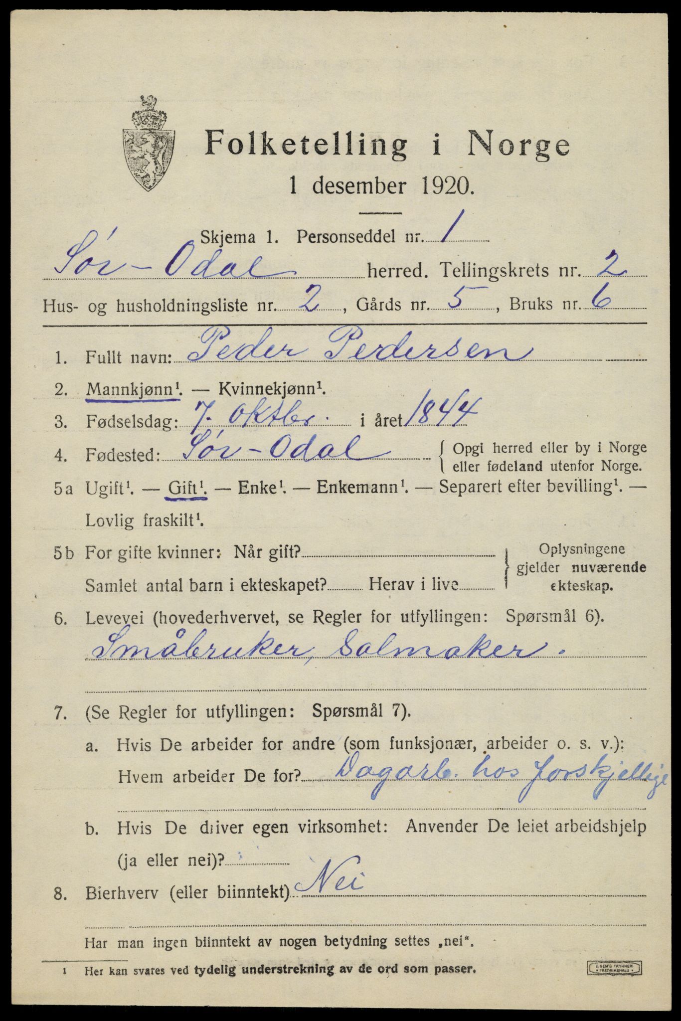 SAH, 1920 census for Sør-Odal, 1920, p. 2999