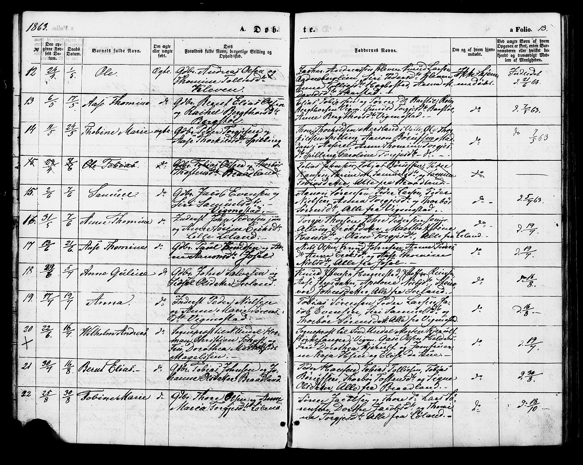 Nord-Audnedal sokneprestkontor, SAK/1111-0032/F/Fa/Fab/L0002: Parish register (official) no. A 2, 1859-1882, p. 13
