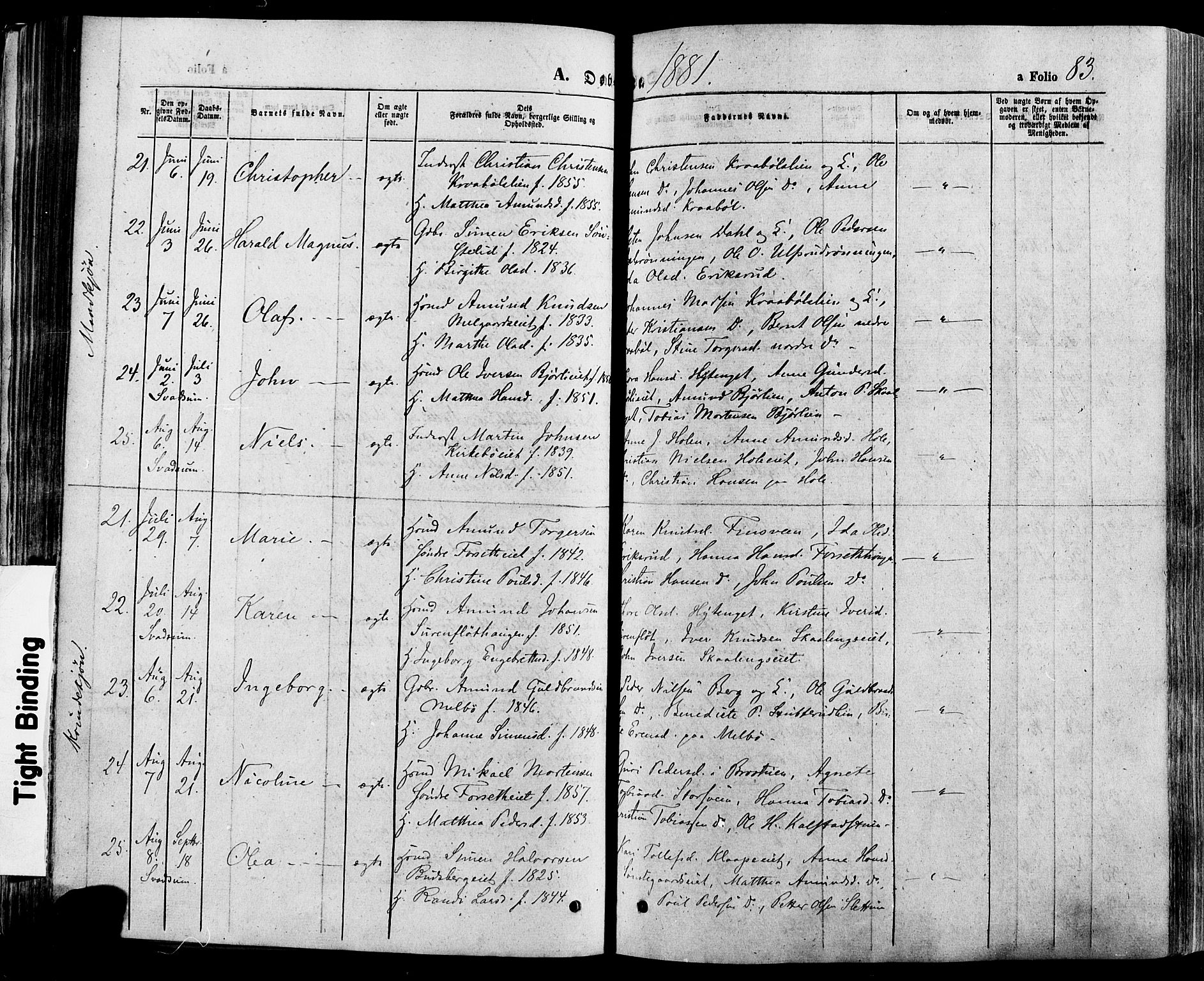 Gausdal prestekontor, AV/SAH-PREST-090/H/Ha/Haa/L0010: Parish register (official) no. 10, 1867-1886, p. 83