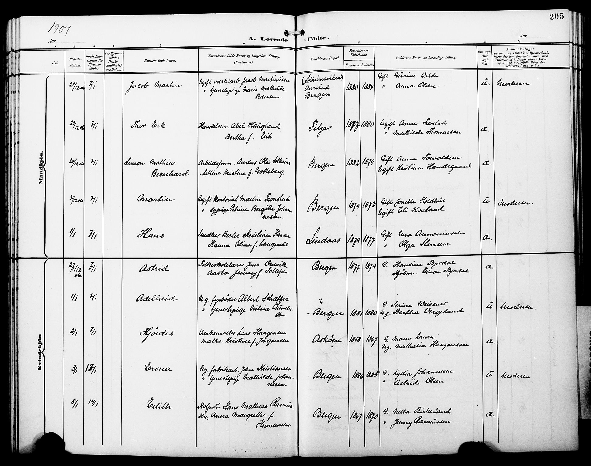 Fødselsstiftelsens sokneprestembete*, SAB/-: Parish register (copy) no. A 1, 1900-1909, p. 205