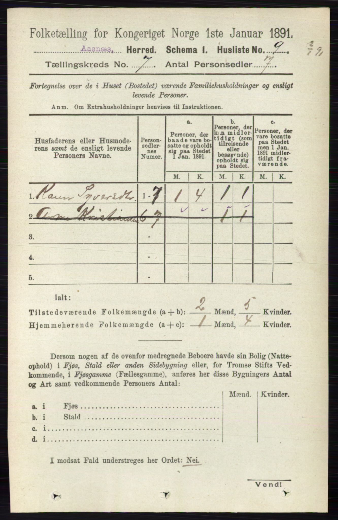 RA, 1891 census for 0425 Åsnes, 1891, p. 3244