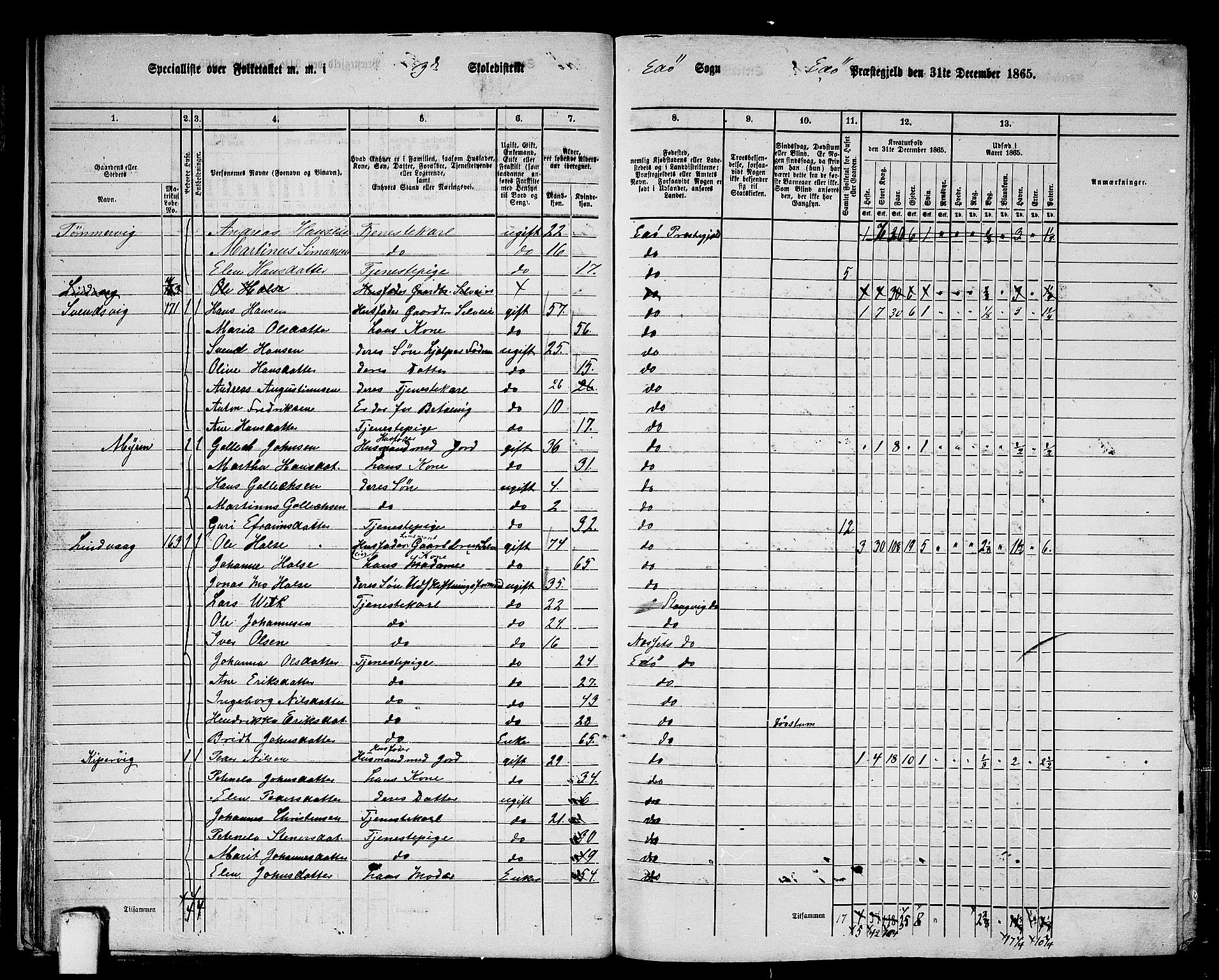 RA, 1865 census for Edøy, 1865, p. 20