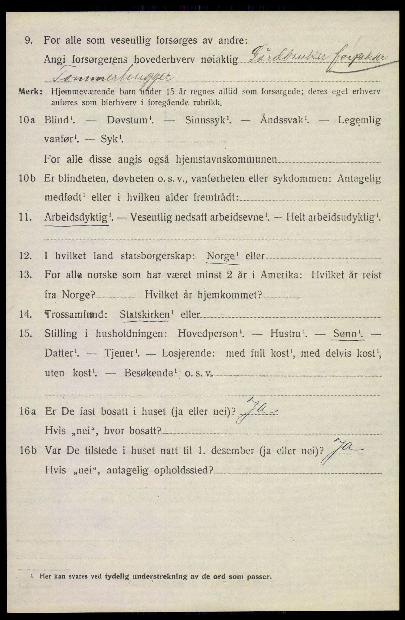 SAKO, 1920 census for Holla, 1920, p. 5452