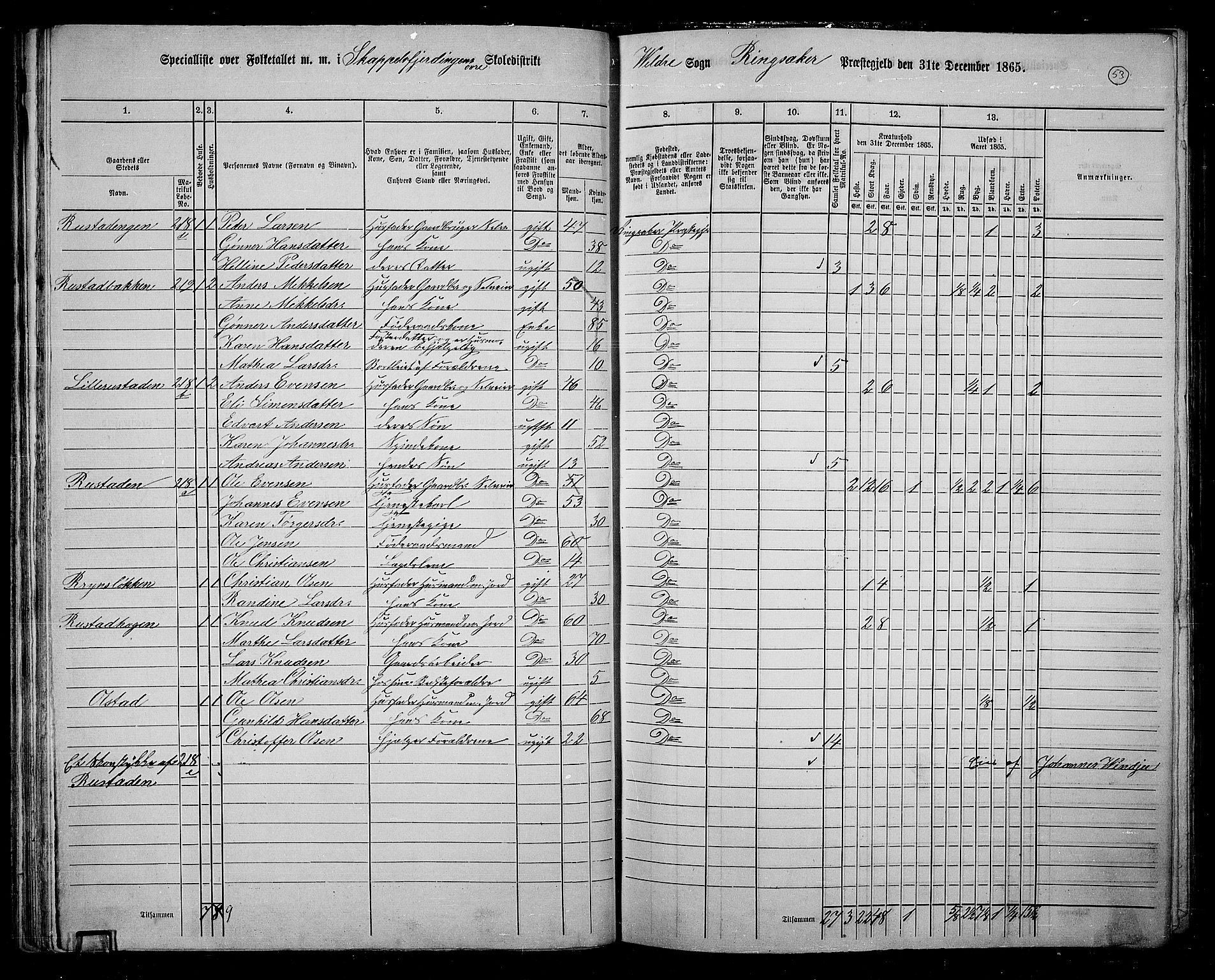 RA, 1865 census for Ringsaker, 1865, p. 307