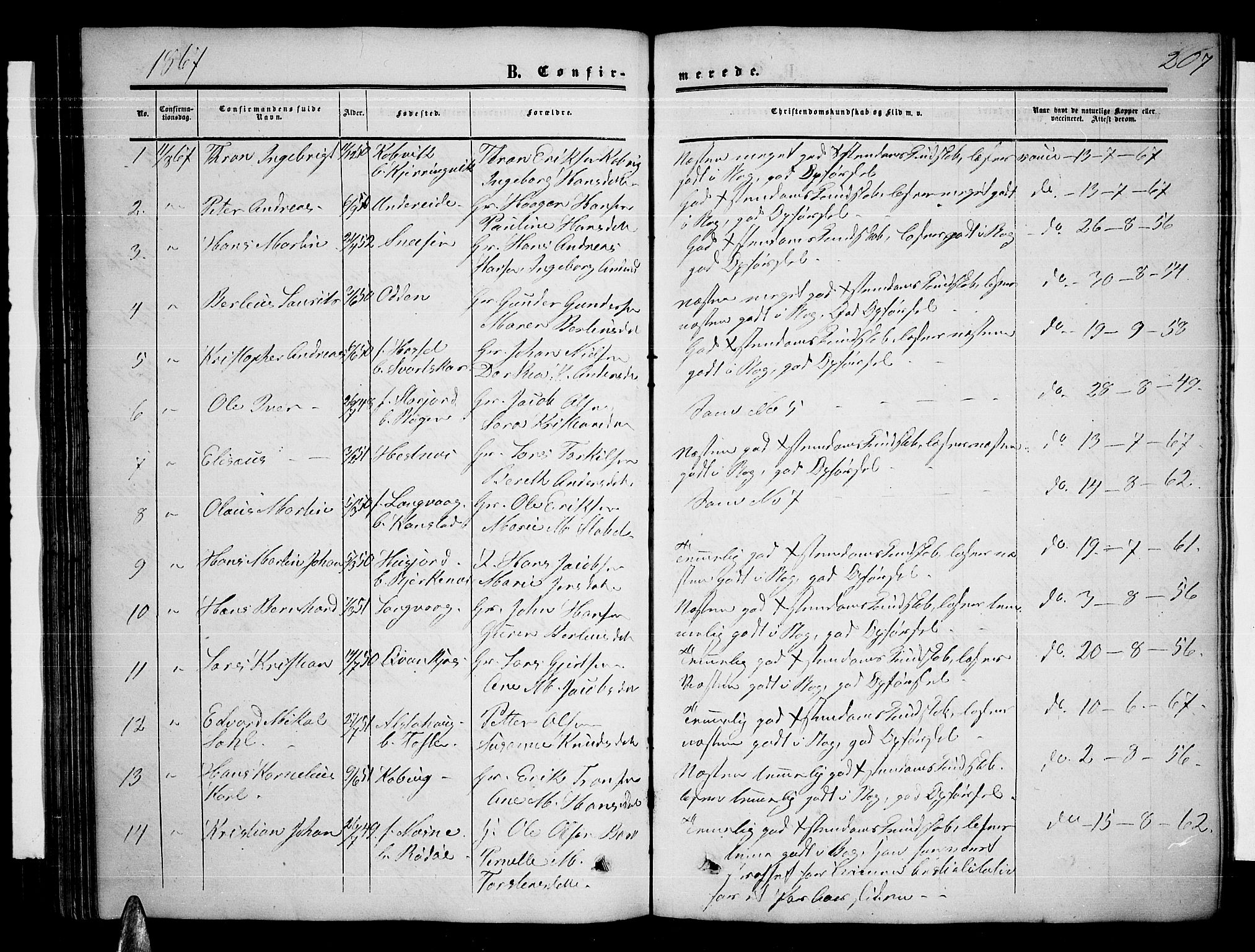 Ministerialprotokoller, klokkerbøker og fødselsregistre - Nordland, AV/SAT-A-1459/872/L1046: Parish register (copy) no. 872C02, 1852-1879, p. 207