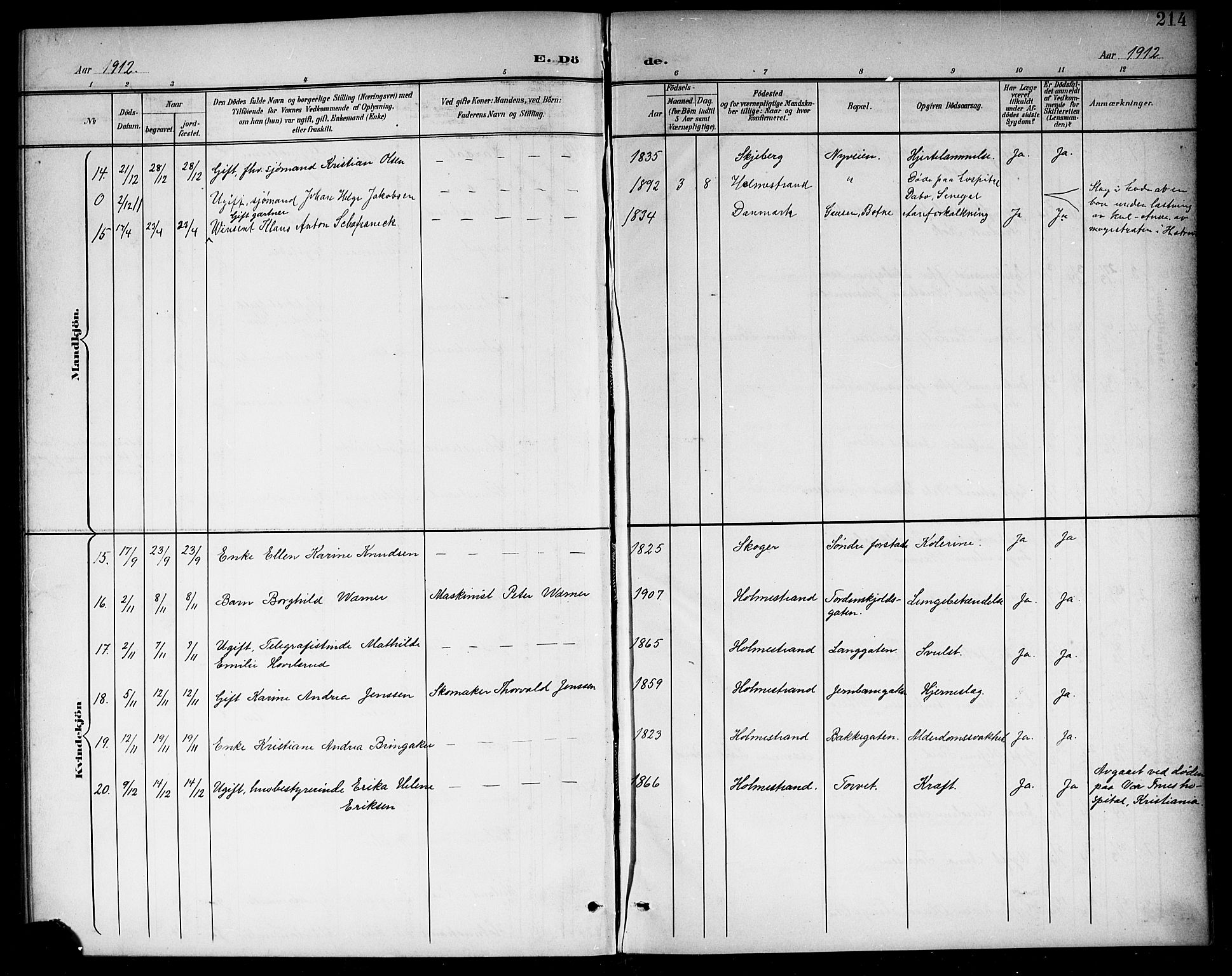 Holmestrand kirkebøker, AV/SAKO-A-346/G/Ga/L0006: Parish register (copy) no. 6, 1901-1923, p. 214