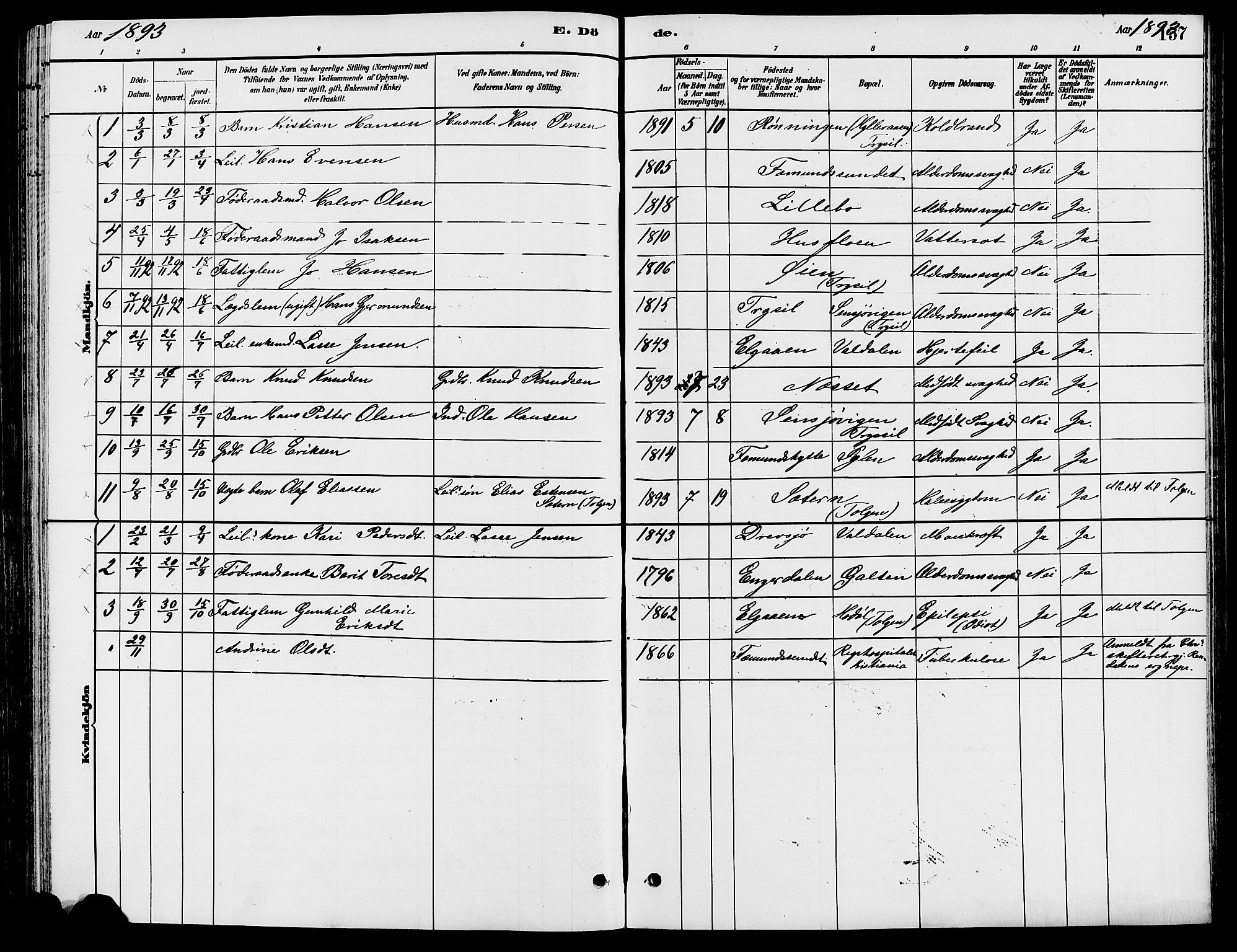 Engerdal prestekontor, AV/SAH-PREST-048/H/Ha/Haa/L0001: Parish register (official) no. 1, 1881-1898, p. 157