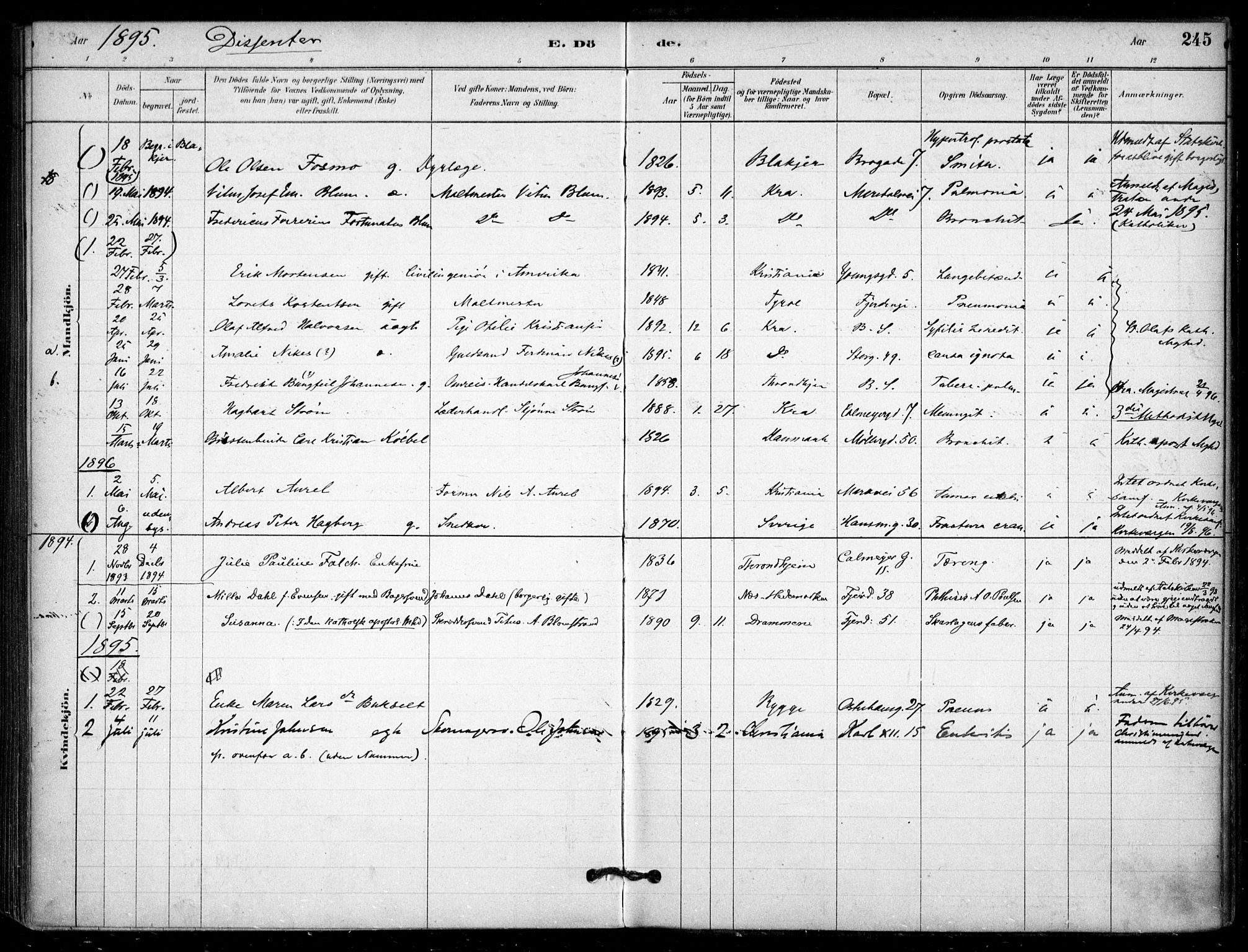 Jakob prestekontor Kirkebøker, AV/SAO-A-10850/F/Fa/L0007: Parish register (official) no. 7, 1880-1905, p. 245