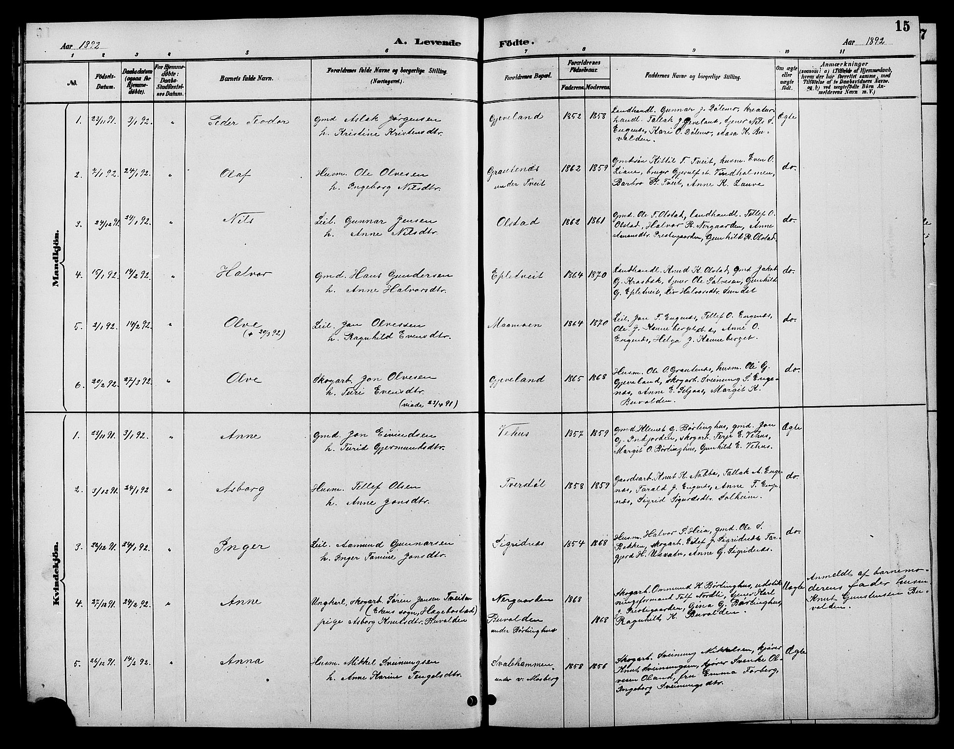 Åmli sokneprestkontor, SAK/1111-0050/F/Fb/Fbc/L0004: Parish register (copy) no. B 4, 1889-1902, p. 15