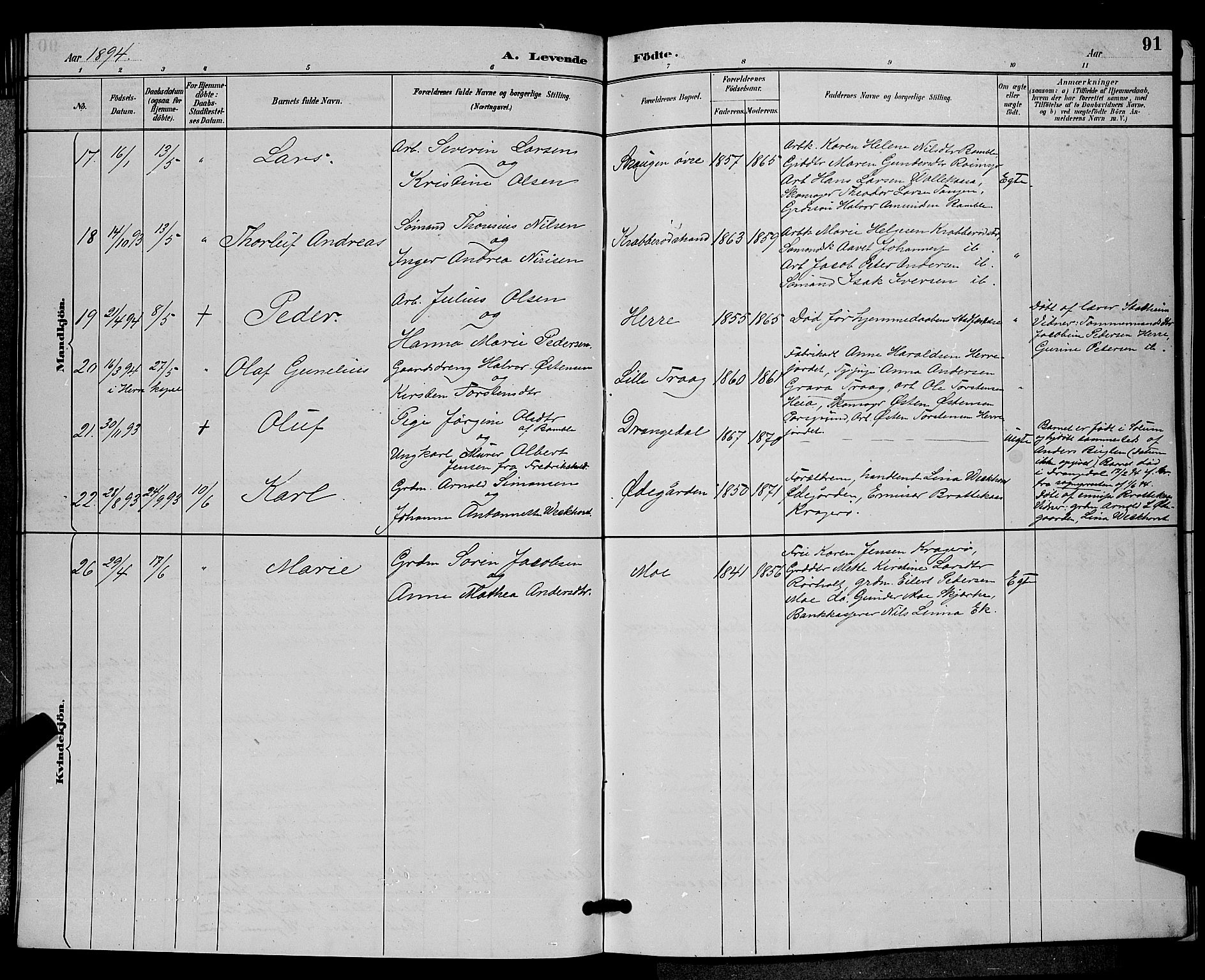 Bamble kirkebøker, AV/SAKO-A-253/G/Ga/L0009: Parish register (copy) no. I 9, 1888-1900, p. 91