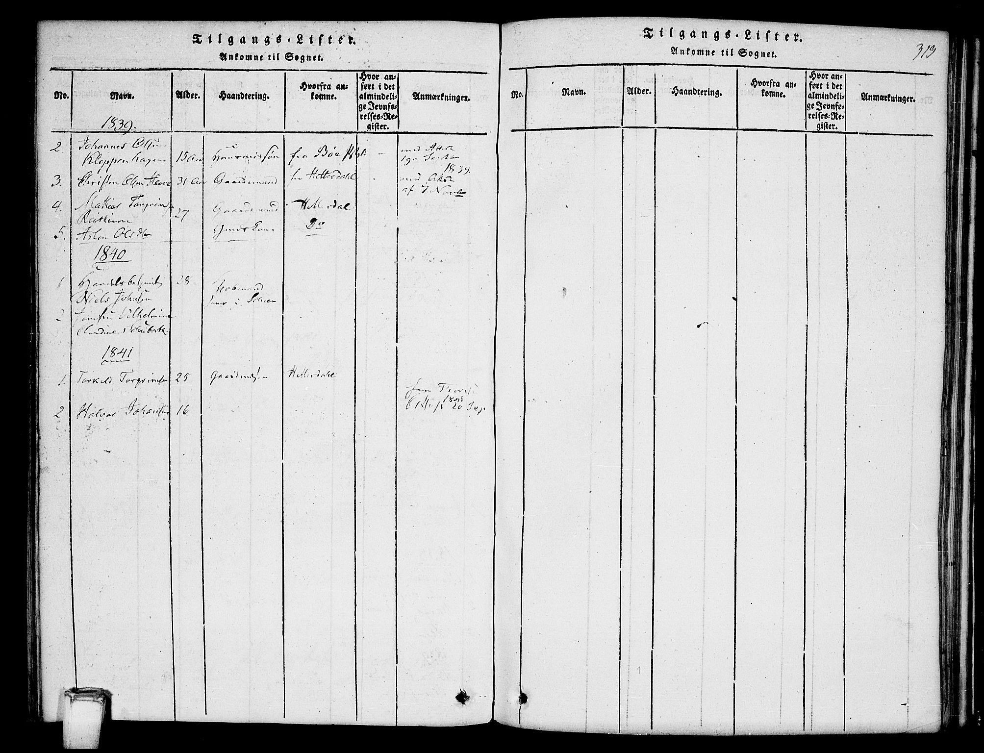 Hjartdal kirkebøker, SAKO/A-270/G/Gb/L0001: Parish register (copy) no. II 1, 1815-1842, p. 313