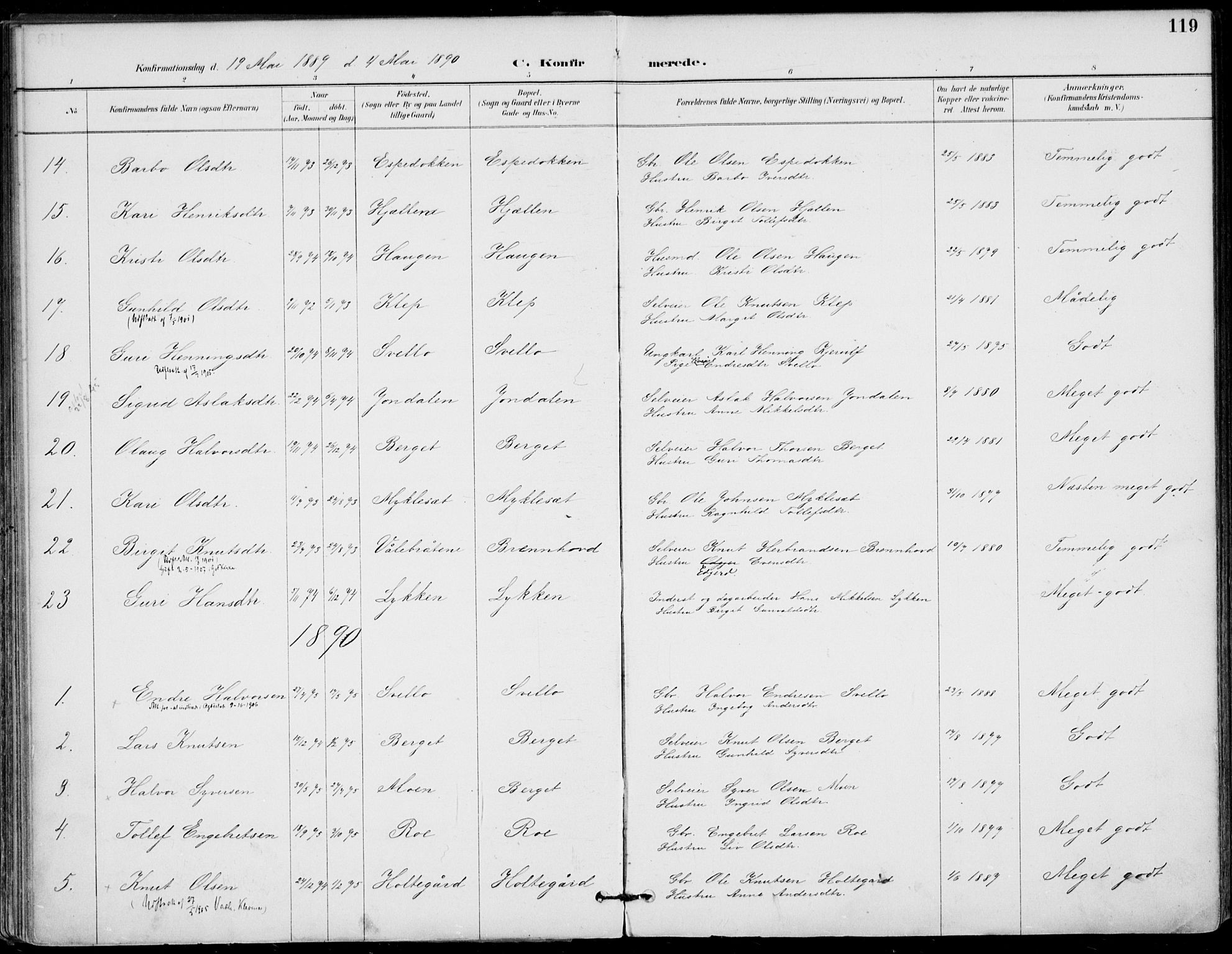 Gol kirkebøker, SAKO/A-226/F/Fa/L0005: Parish register (official) no. I 5, 1887-1900, p. 119