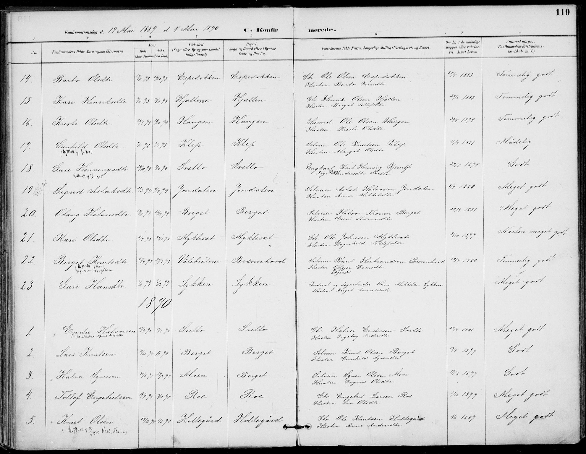 Gol kirkebøker, AV/SAKO-A-226/F/Fa/L0005: Parish register (official) no. I 5, 1887-1900, p. 119