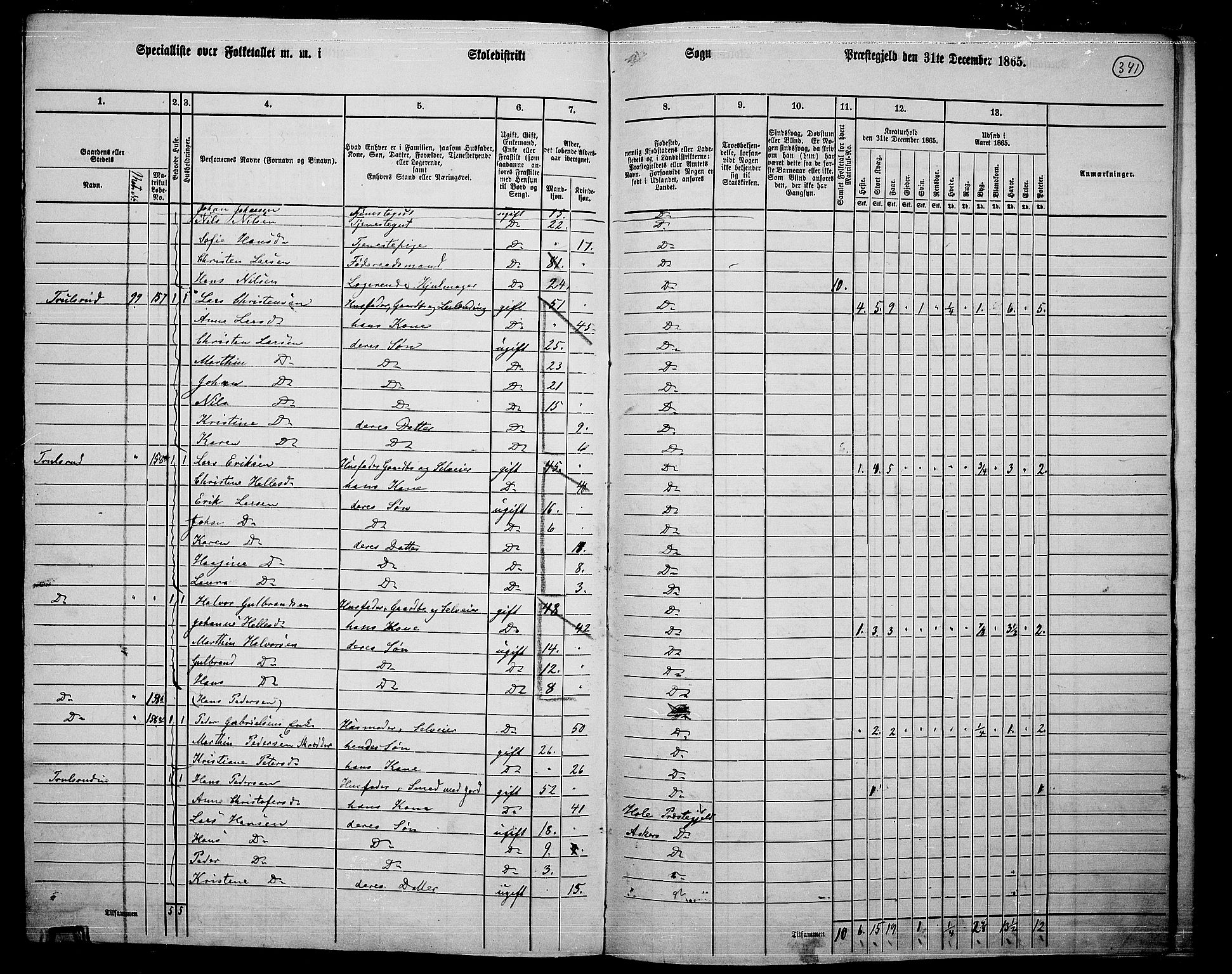 RA, 1865 census for Asker, 1865, p. 325