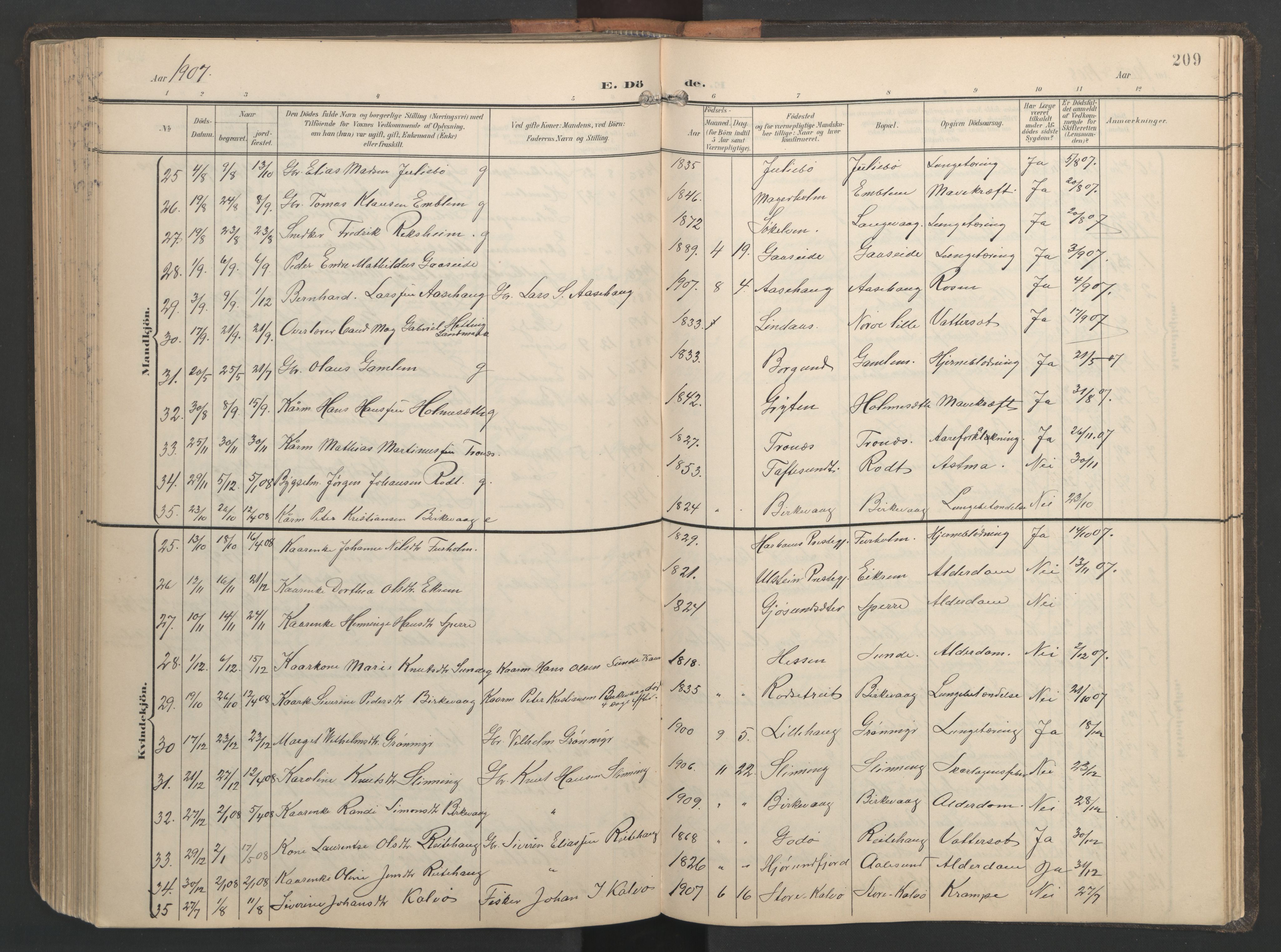 Ministerialprotokoller, klokkerbøker og fødselsregistre - Møre og Romsdal, AV/SAT-A-1454/528/L0433: Parish register (copy) no. 528C14, 1899-1922, p. 209