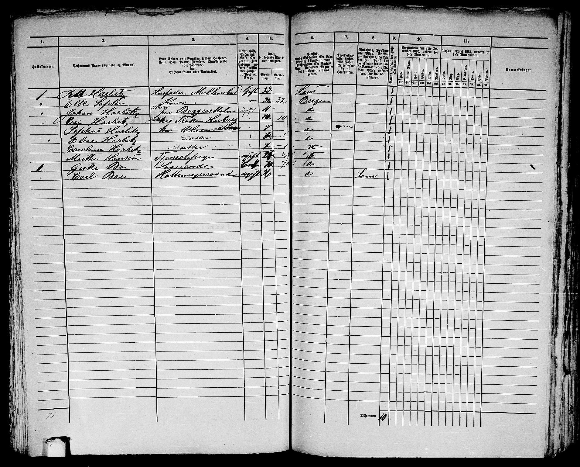 RA, 1865 census for Bergen, 1865, p. 2843