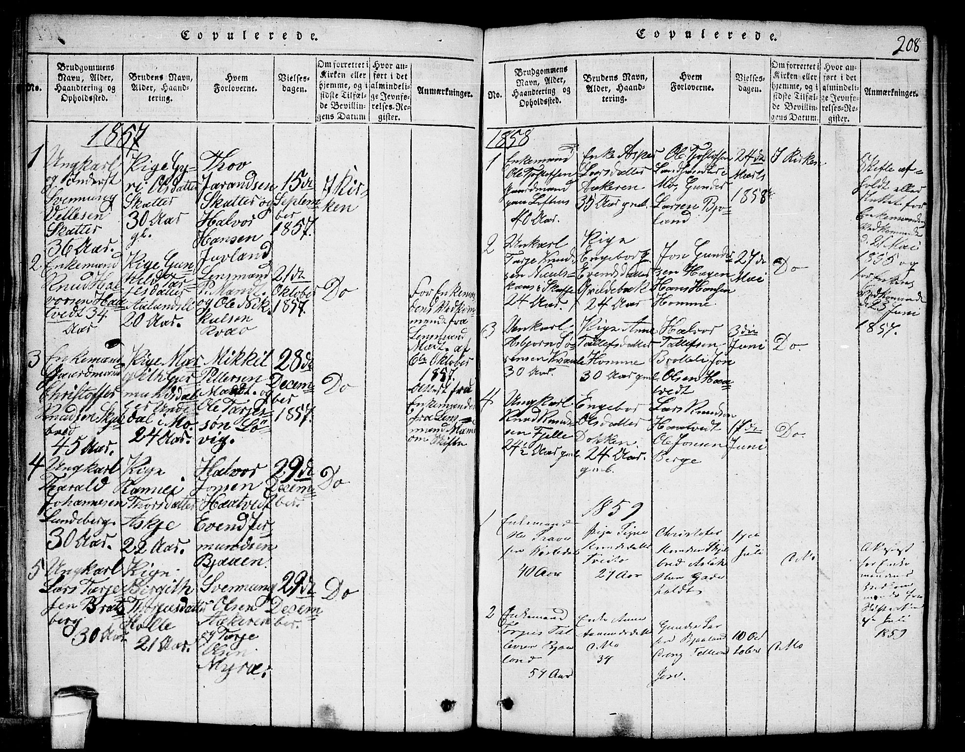 Lårdal kirkebøker, SAKO/A-284/G/Ga/L0001: Parish register (copy) no. I 1, 1815-1861, p. 208