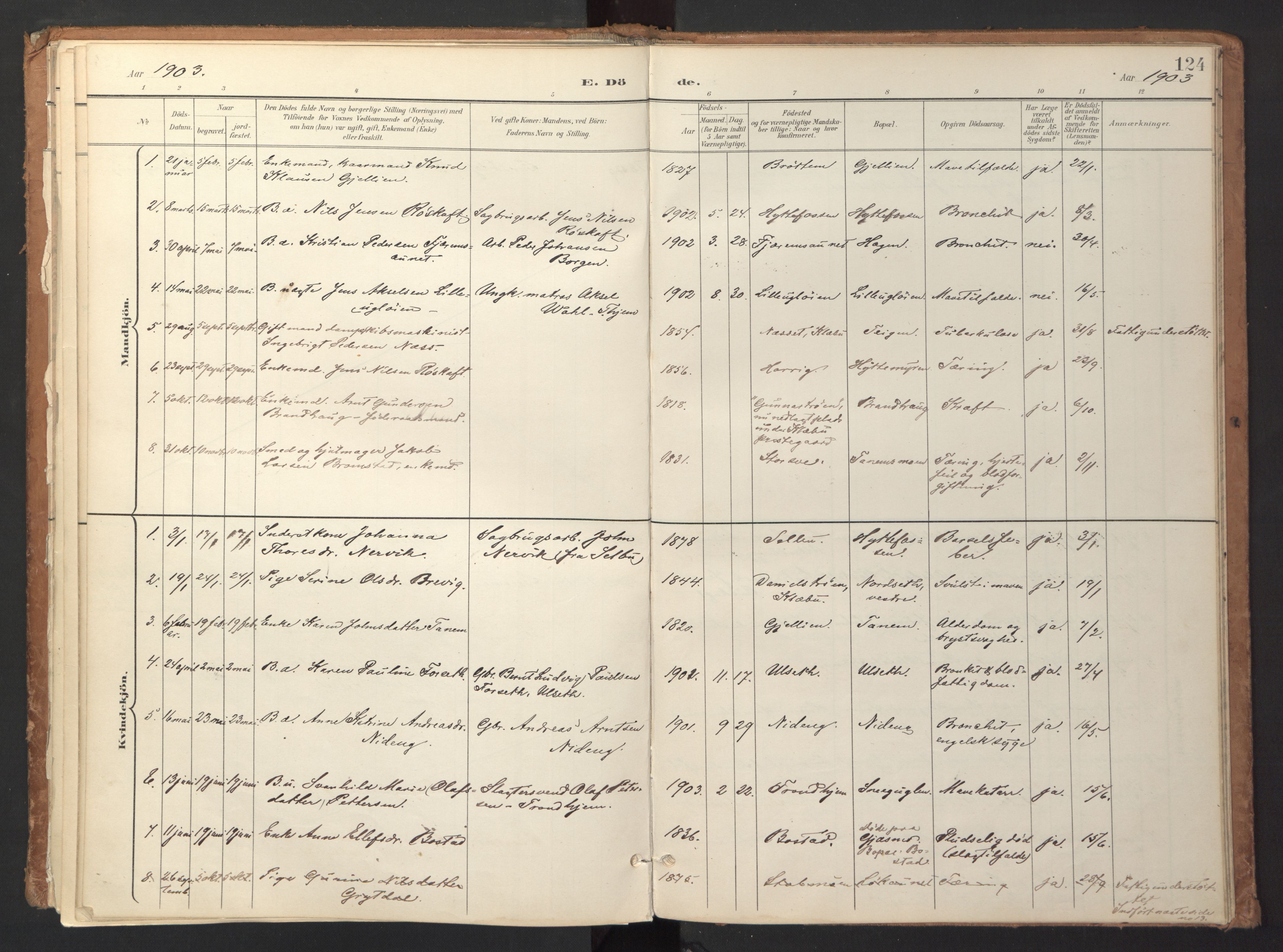 Ministerialprotokoller, klokkerbøker og fødselsregistre - Sør-Trøndelag, SAT/A-1456/618/L0448: Parish register (official) no. 618A11, 1898-1916, p. 124