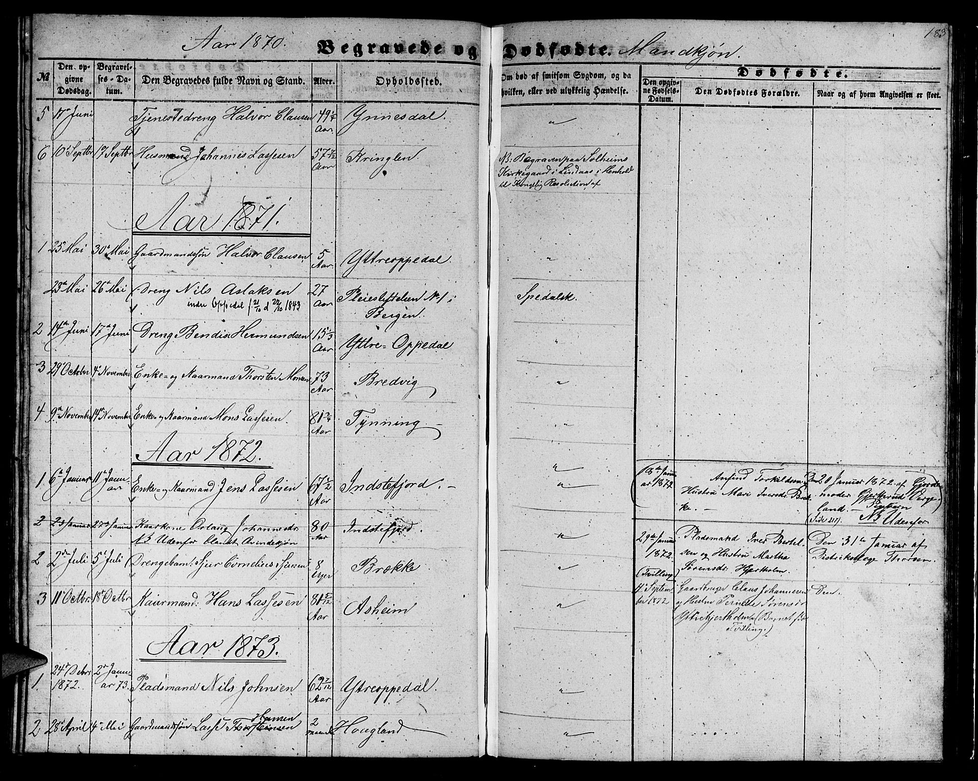 Gulen sokneprestembete, AV/SAB-A-80201/H/Hab/Habc/L0001: Parish register (copy) no. C 1, 1853-1880, p. 183