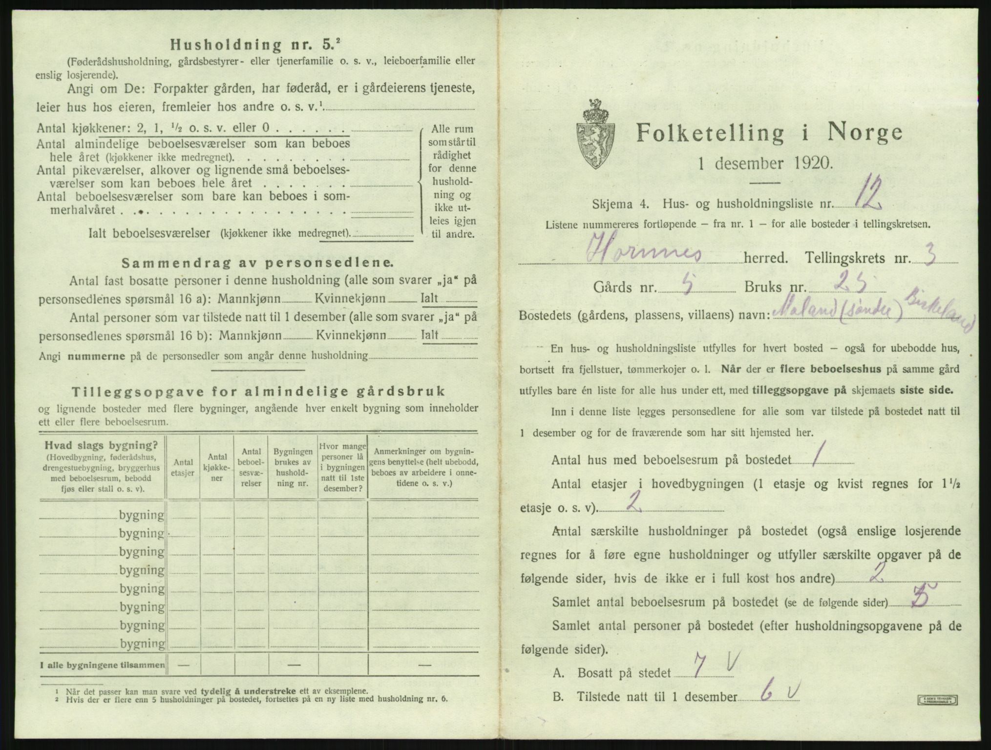 SAK, 1920 census for Hornnes, 1920, p. 139
