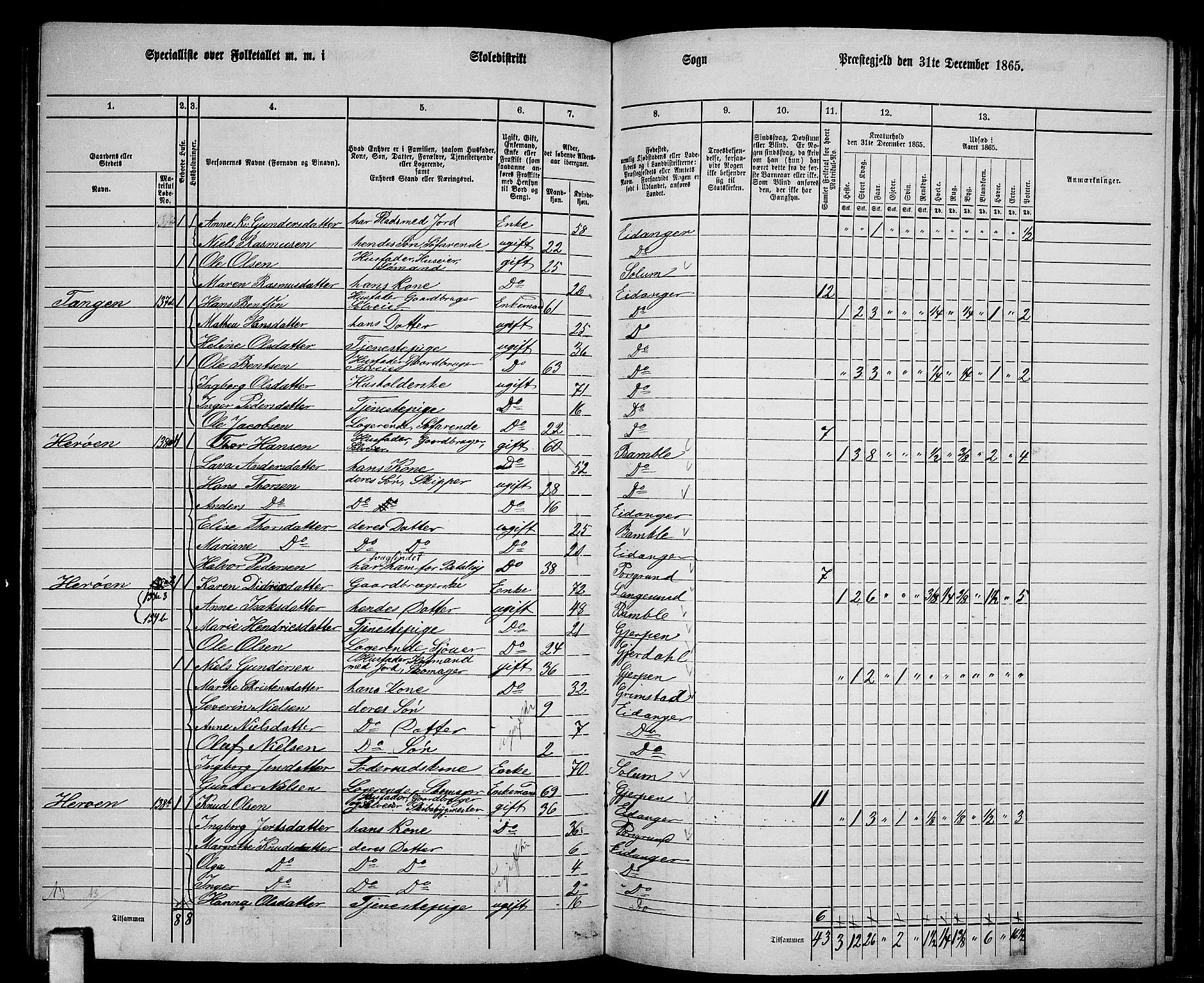 RA, 1865 census for Eidanger, 1865, p. 74