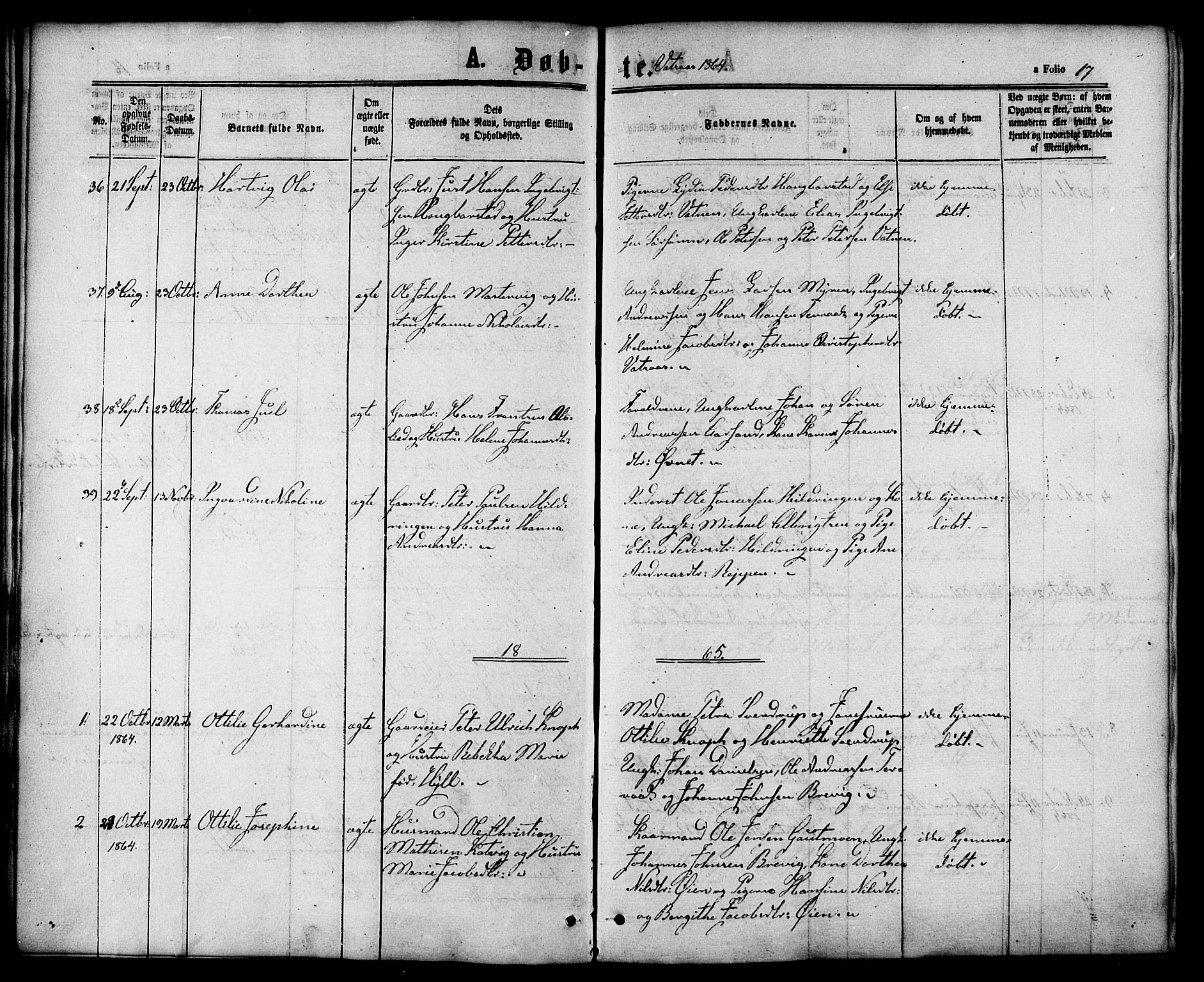 Ministerialprotokoller, klokkerbøker og fødselsregistre - Nordland, SAT/A-1459/810/L0146: Parish register (official) no. 810A08 /1, 1862-1874, p. 17
