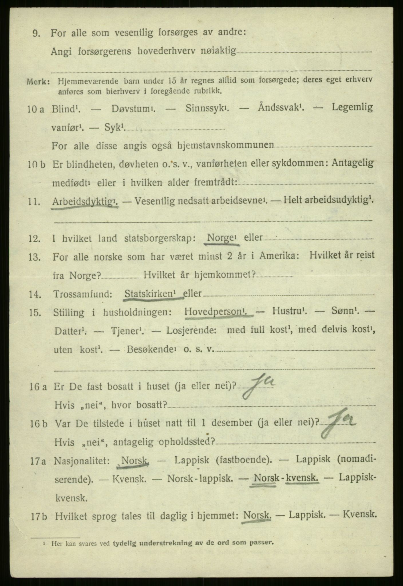 SATØ, 1920 census for Nordreisa, 1920, p. 990
