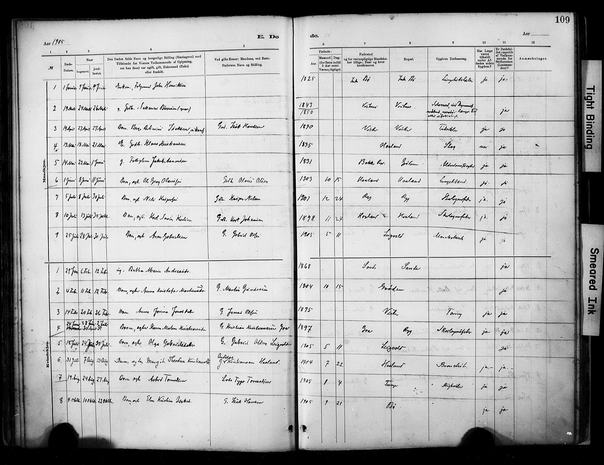 Hetland sokneprestkontor, SAST/A-101826/30/30BA/L0009: Parish register (official) no. A 9, 1882-1918, p. 109