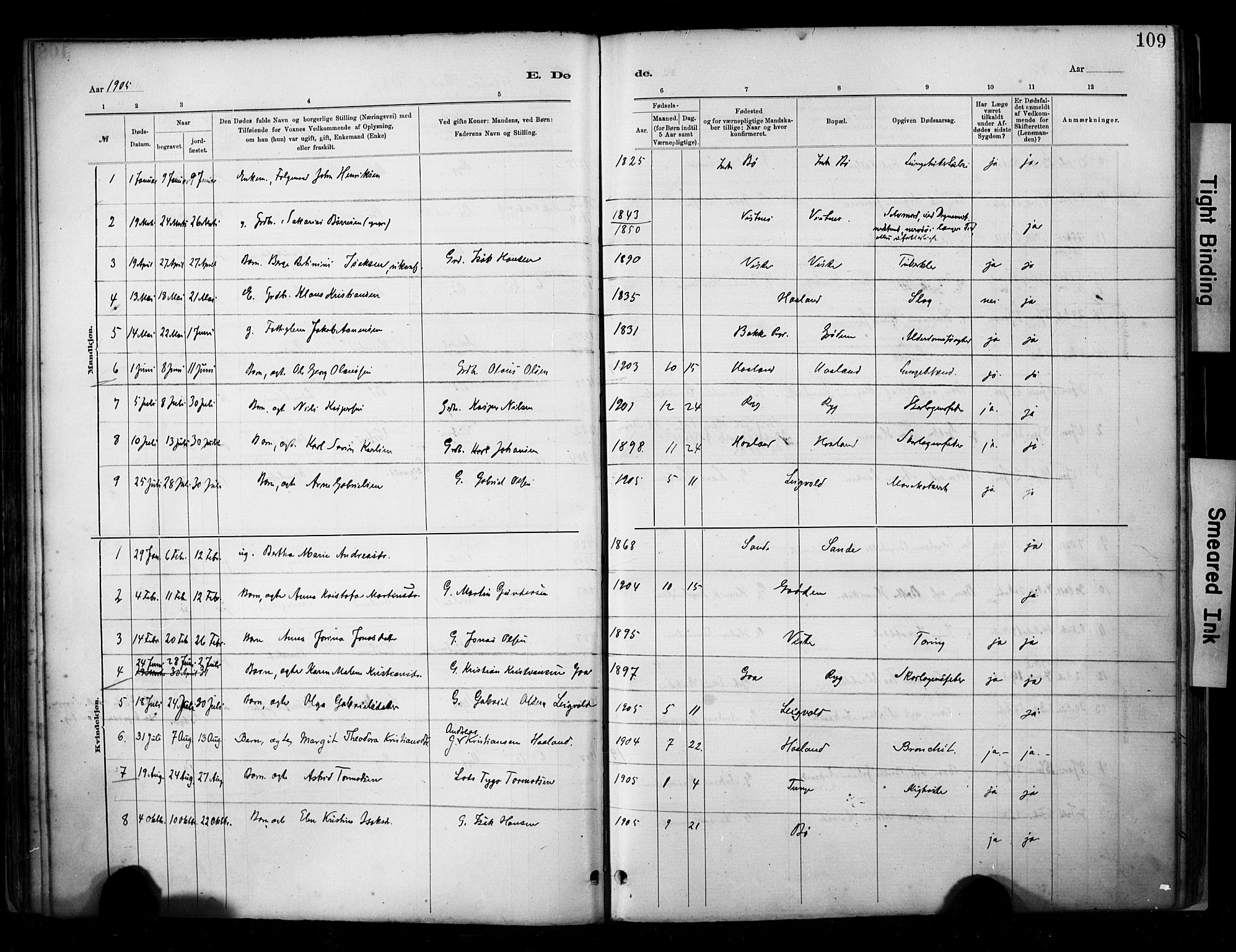 Hetland sokneprestkontor, AV/SAST-A-101826/30/30BA/L0009: Parish register (official) no. A 9, 1882-1918, p. 109