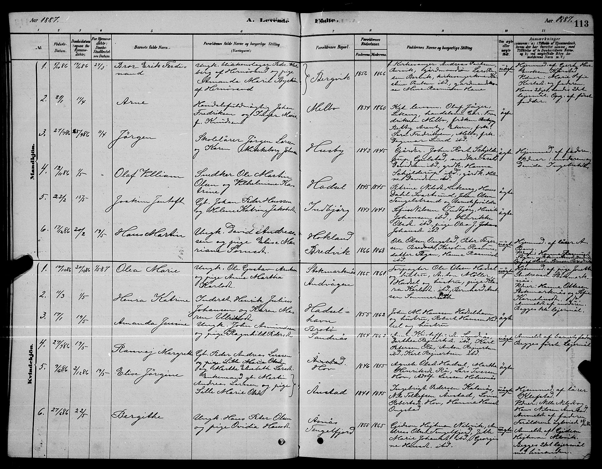 Ministerialprotokoller, klokkerbøker og fødselsregistre - Nordland, AV/SAT-A-1459/888/L1267: Parish register (copy) no. 888C05, 1878-1890, p. 113