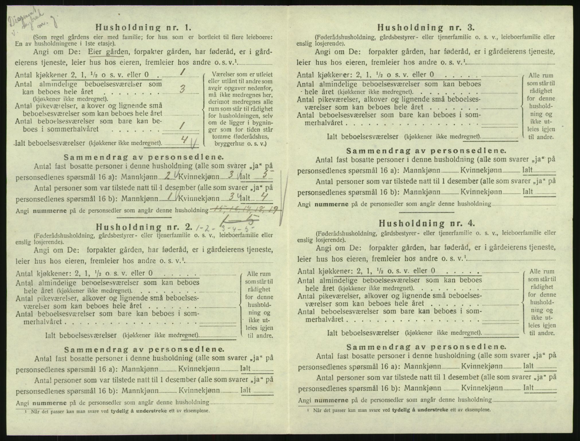 SAK, 1920 census for Hornnes, 1920, p. 98