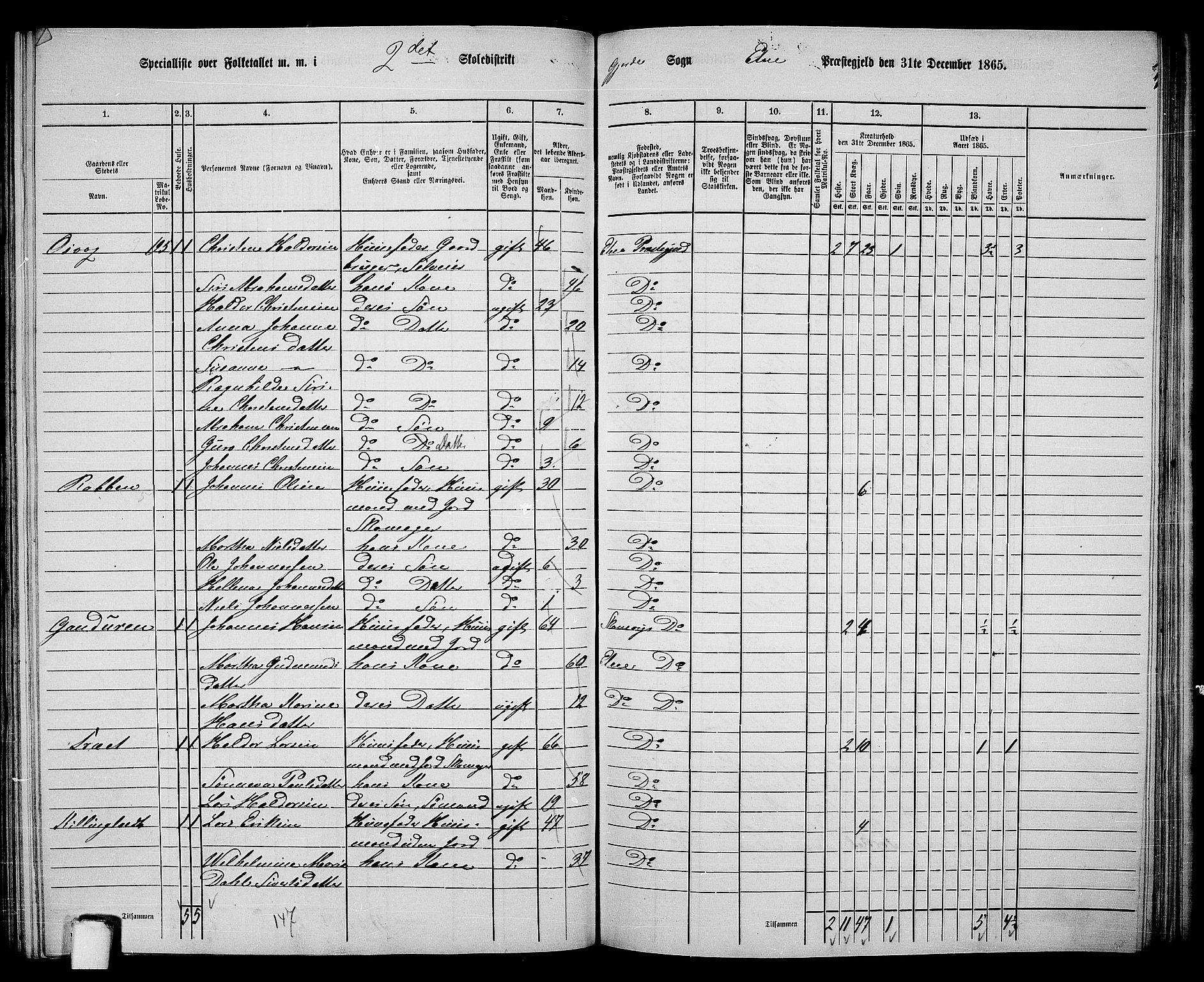 RA, 1865 census for Etne, 1865, p. 141