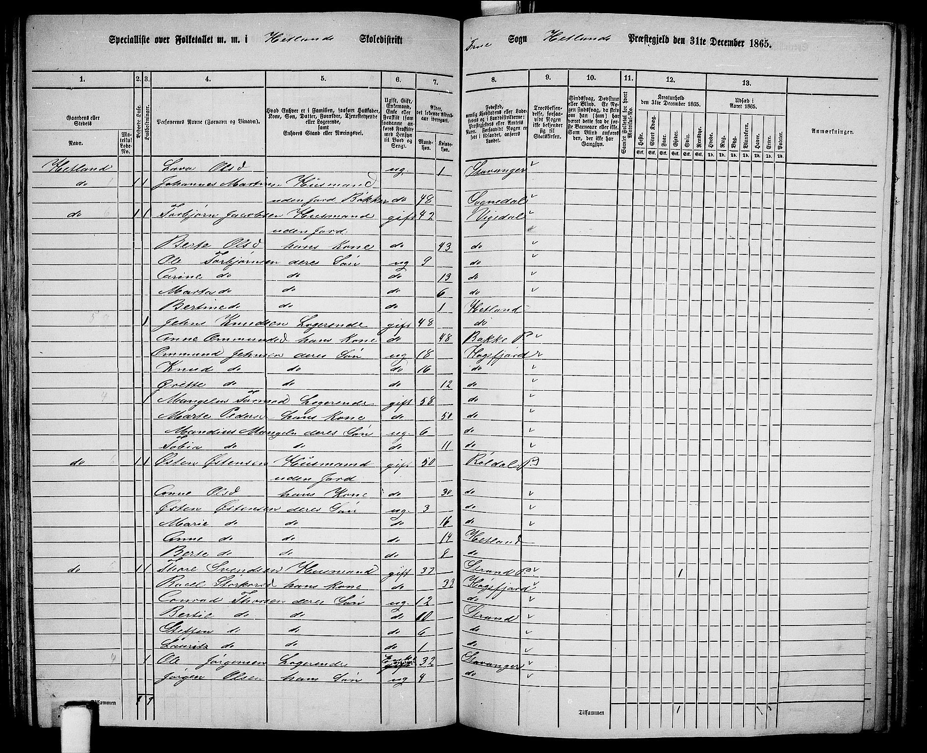 RA, 1865 census for Hetland, 1865, p. 150