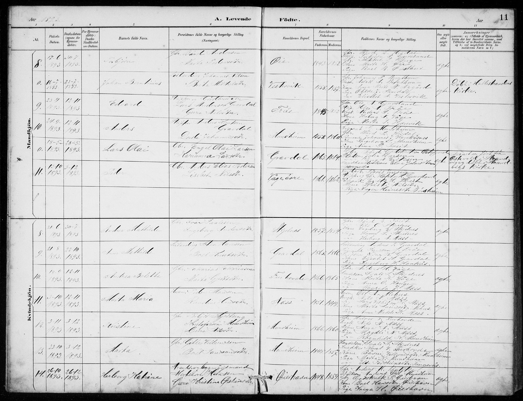 Strandebarm sokneprestembete, AV/SAB-A-78401/H/Hab: Parish register (copy) no. C  1, 1891-1913, p. 11