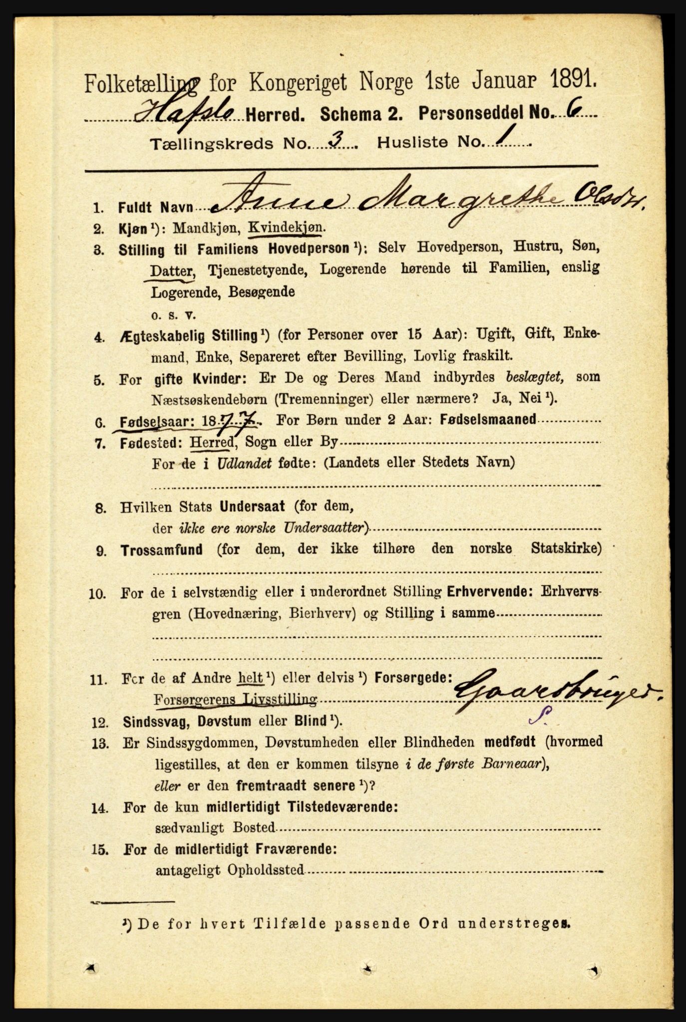 RA, 1891 census for 1425 Hafslo, 1891, p. 987