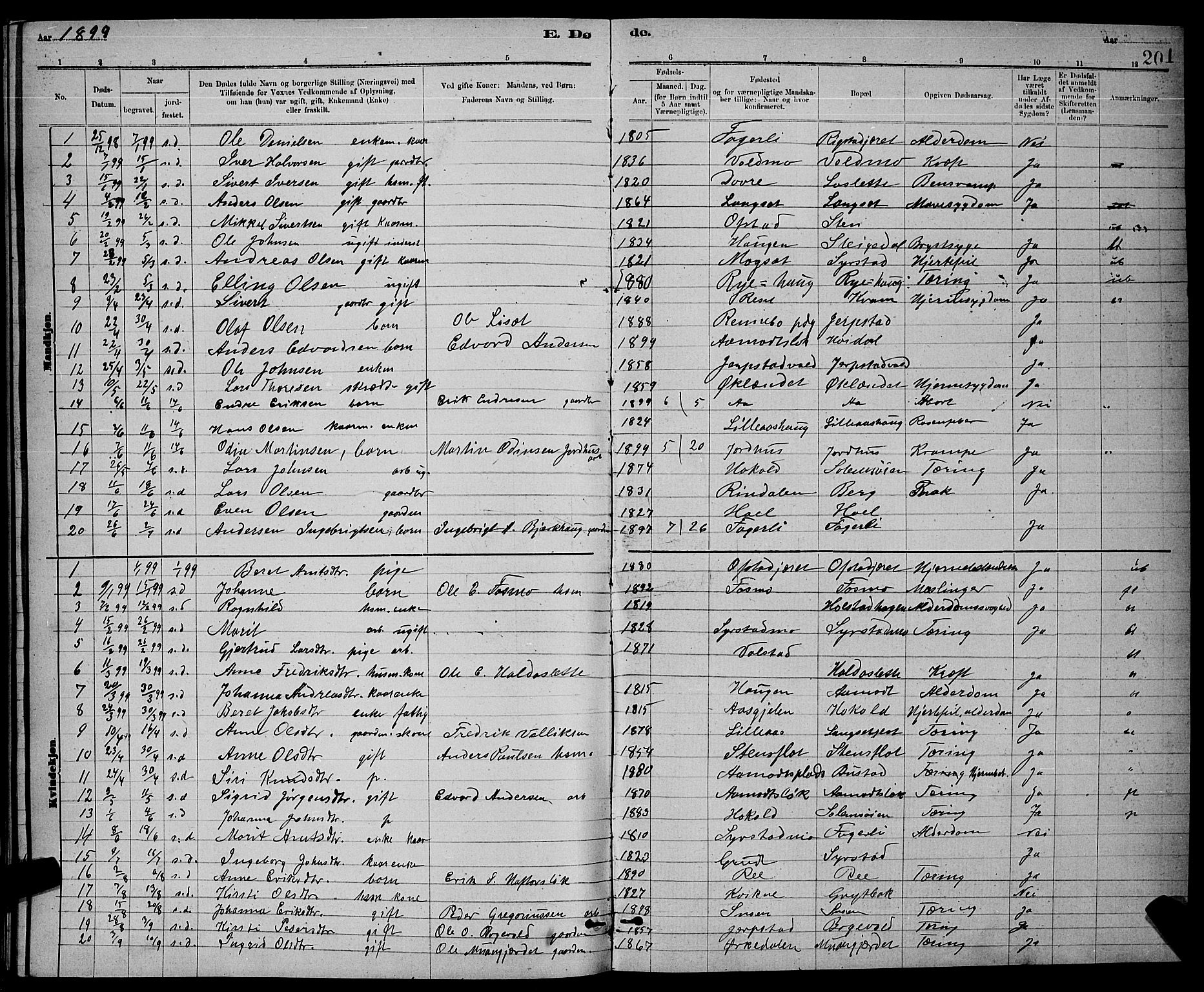 Ministerialprotokoller, klokkerbøker og fødselsregistre - Sør-Trøndelag, SAT/A-1456/672/L0863: Parish register (copy) no. 672C02, 1888-1901, p. 201