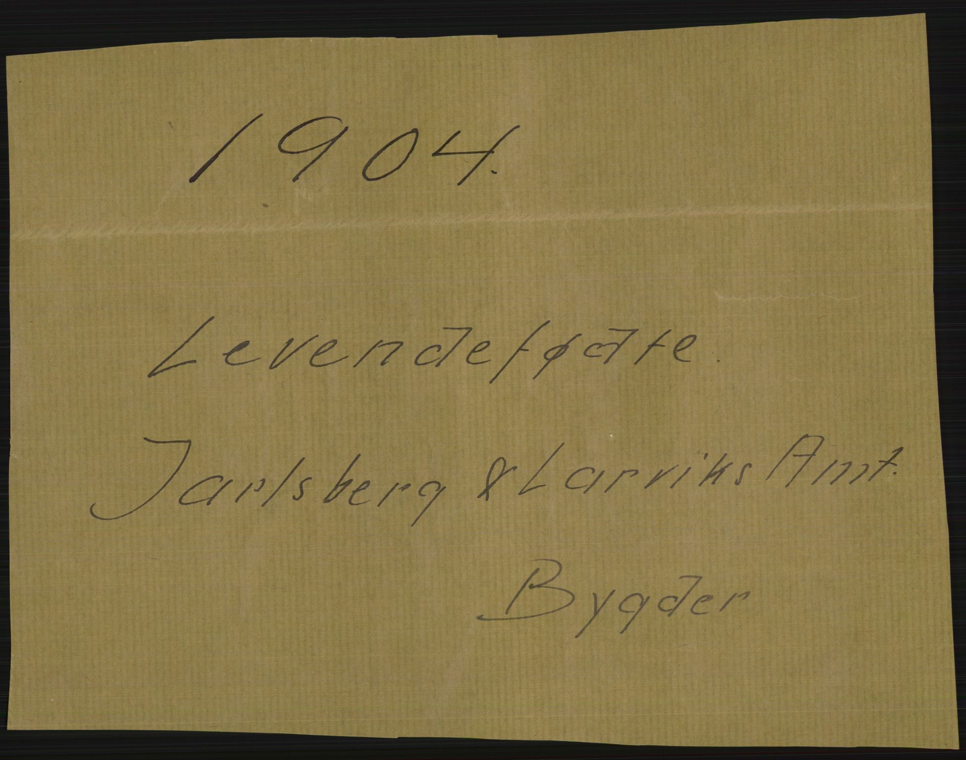 Statistisk sentralbyrå, Sosiodemografiske emner, Befolkning, RA/S-2228/D/Df/Dfa/Dfab/L0008: Jarlsberg og Larvig amt: Fødte, gifte, døde, 1904, p. 1