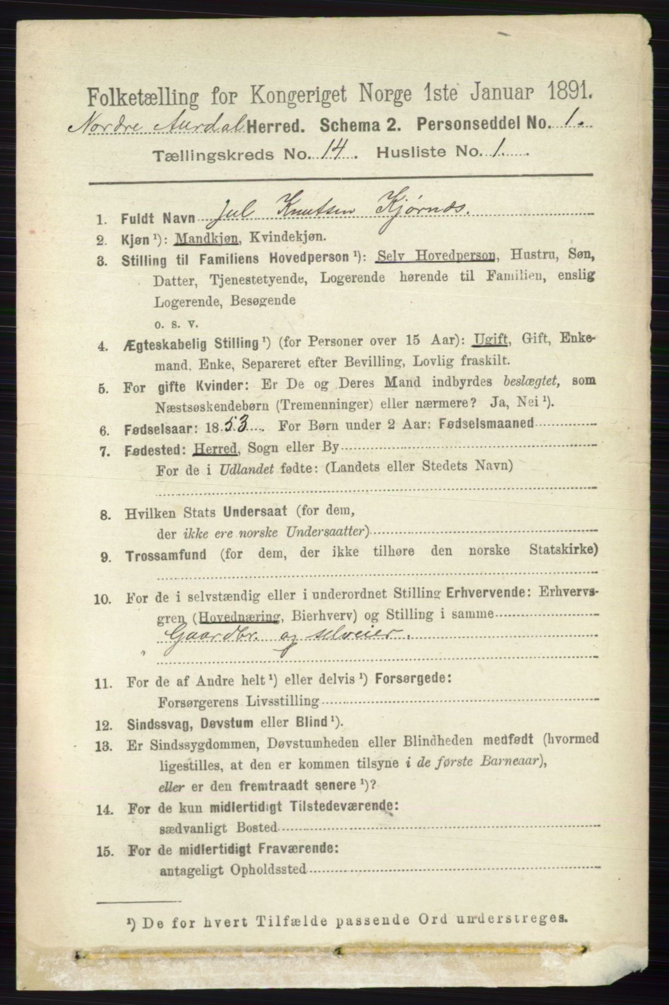 RA, 1891 census for 0542 Nord-Aurdal, 1891, p. 5213