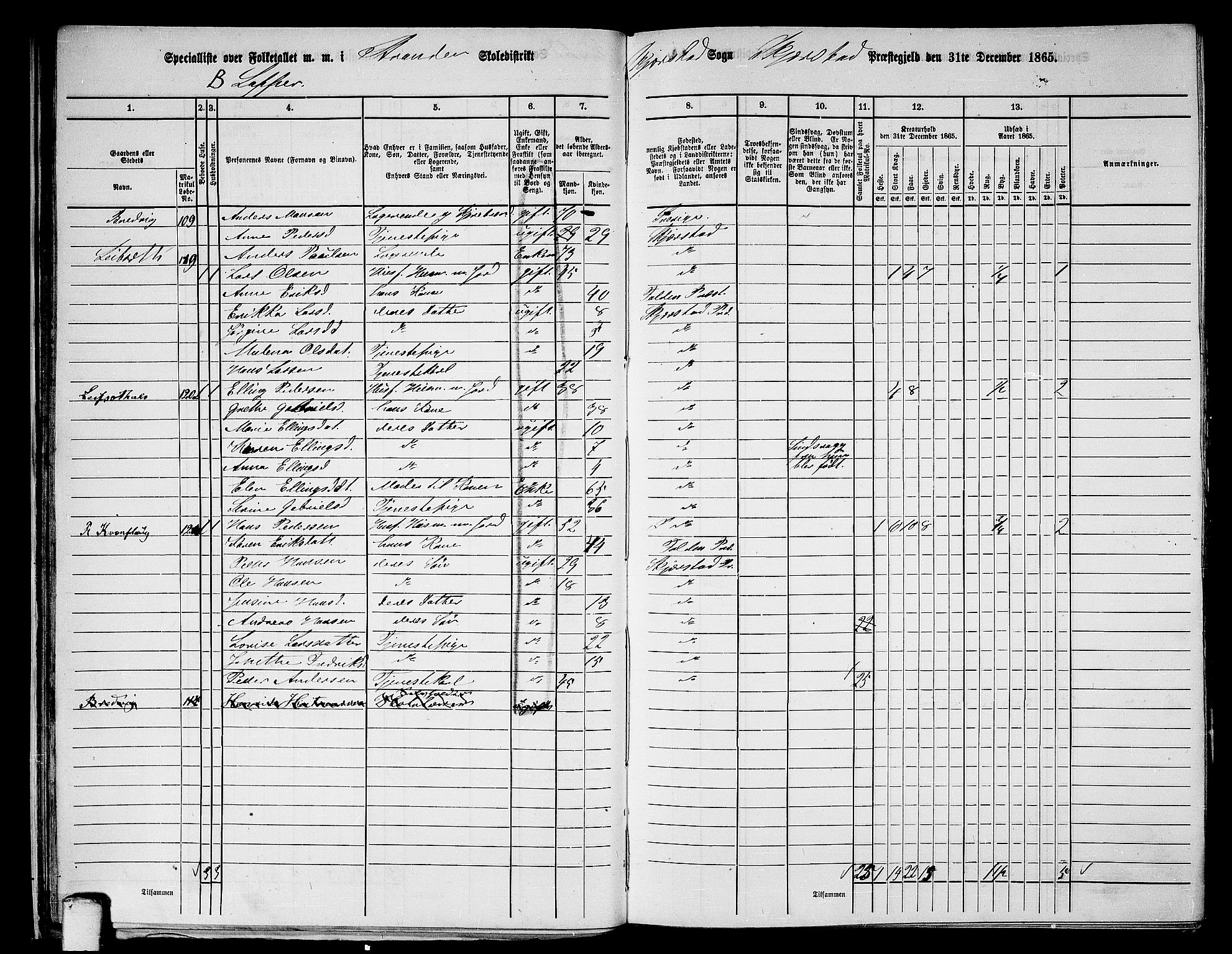 RA, 1865 census for Skjerstad, 1865, p. 34