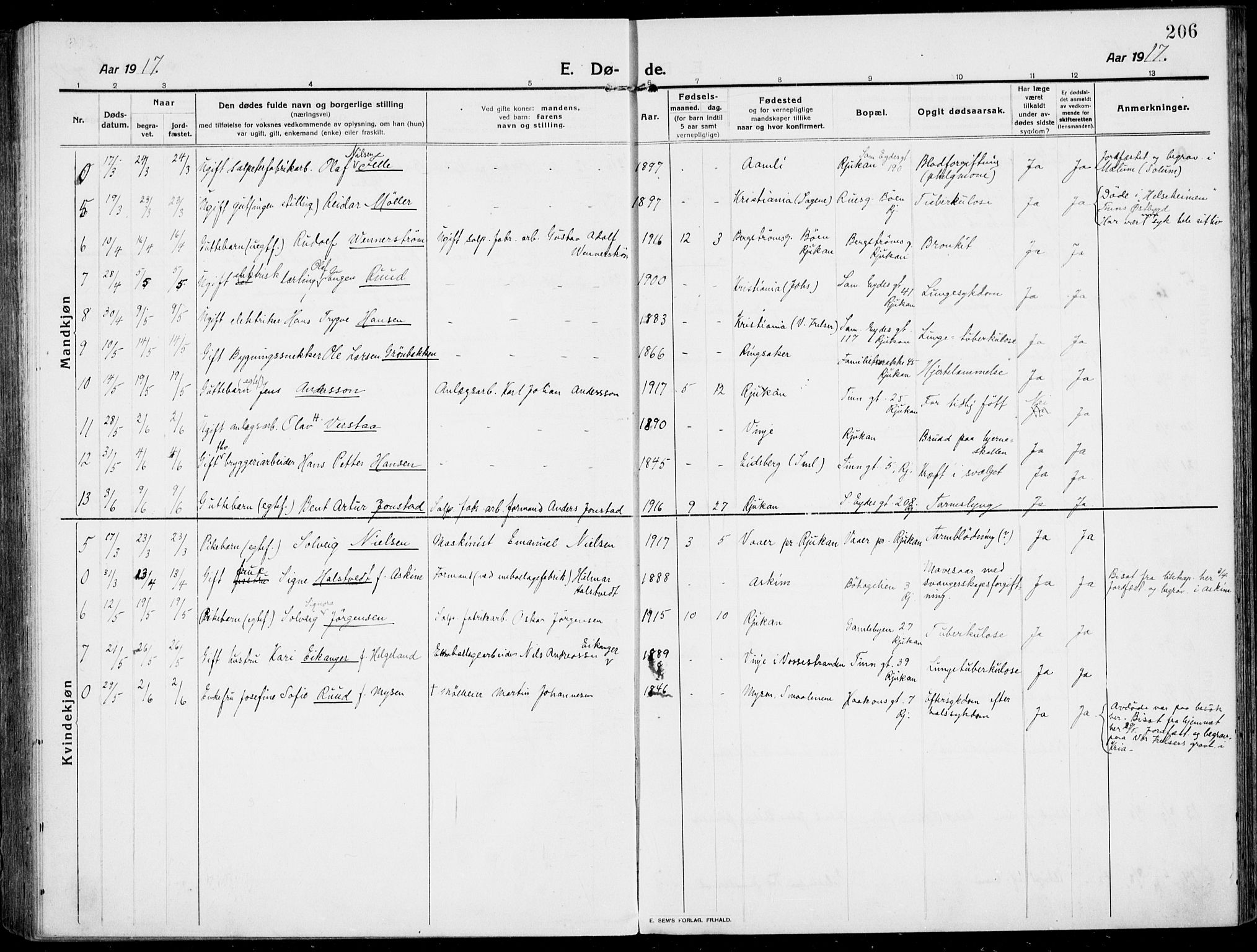 Rjukan kirkebøker, AV/SAKO-A-294/F/Fa/L0002: Parish register (official) no. 2, 1912-1917, p. 206