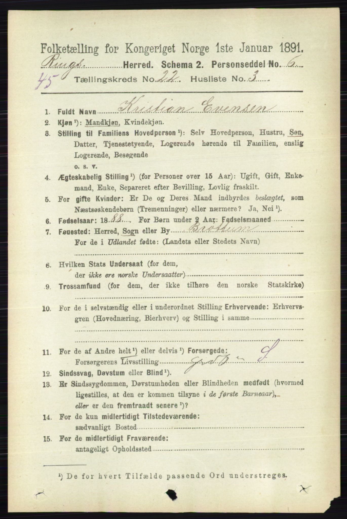RA, 1891 census for 0412 Ringsaker, 1891, p. 12388