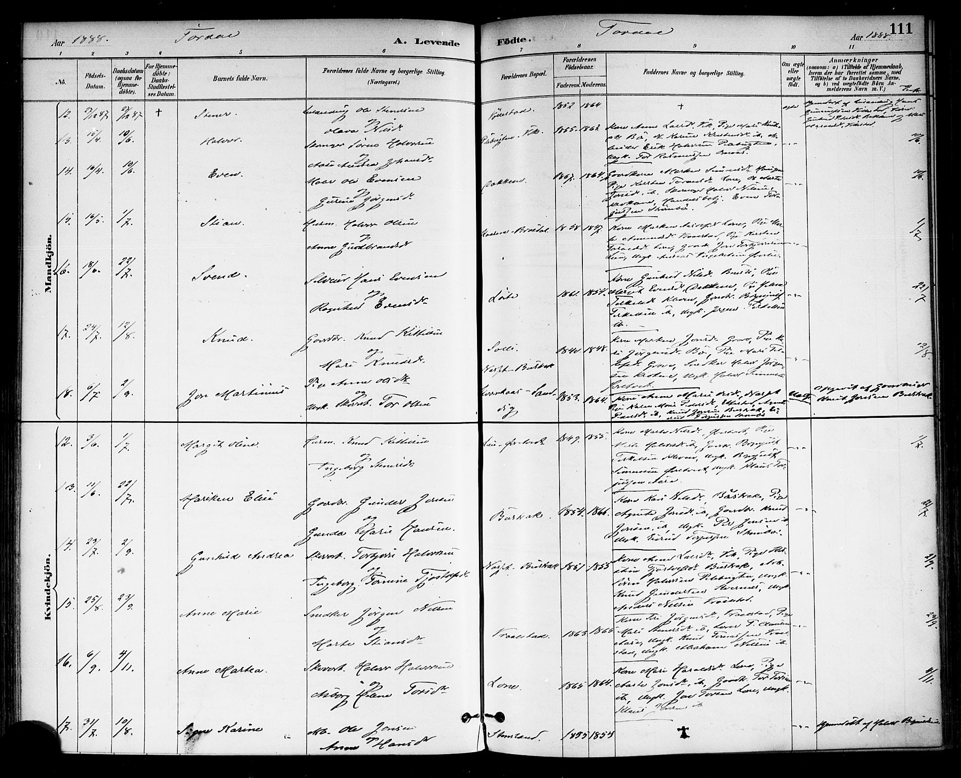 Drangedal kirkebøker, SAKO/A-258/F/Fa/L0010: Parish register (official) no. 10 /2, 1885-1894, p. 111