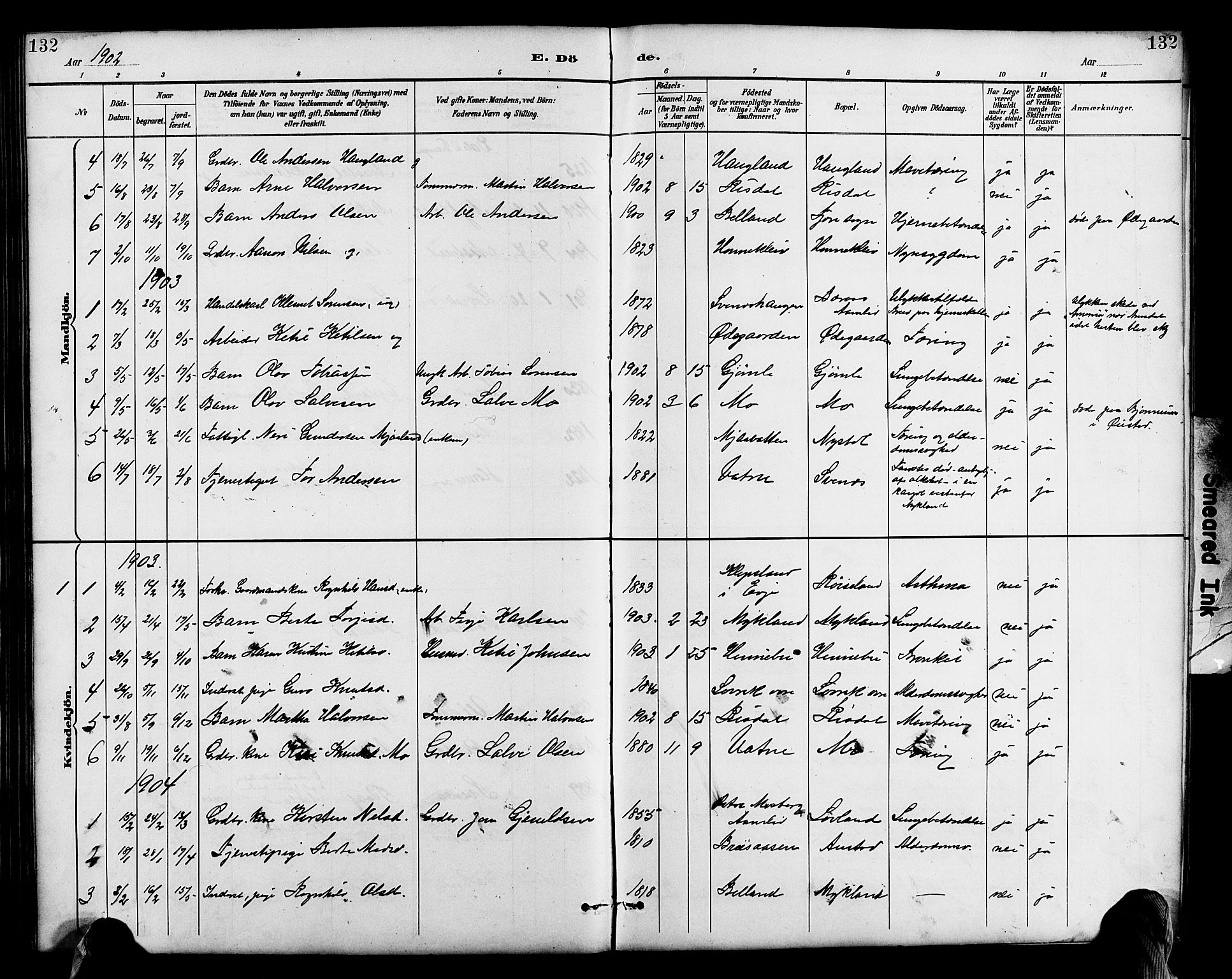 Herefoss sokneprestkontor, AV/SAK-1111-0019/F/Fb/Fbc/L0003: Parish register (copy) no. B 3, 1887-1915, p. 132