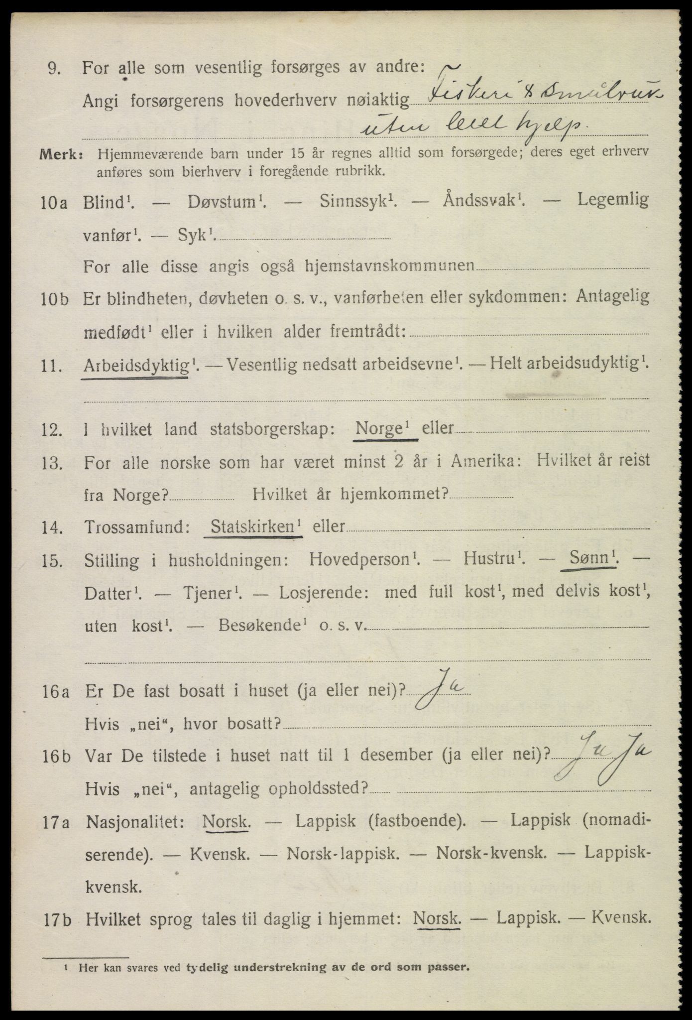 SAT, 1920 census for Bø, 1920, p. 9991