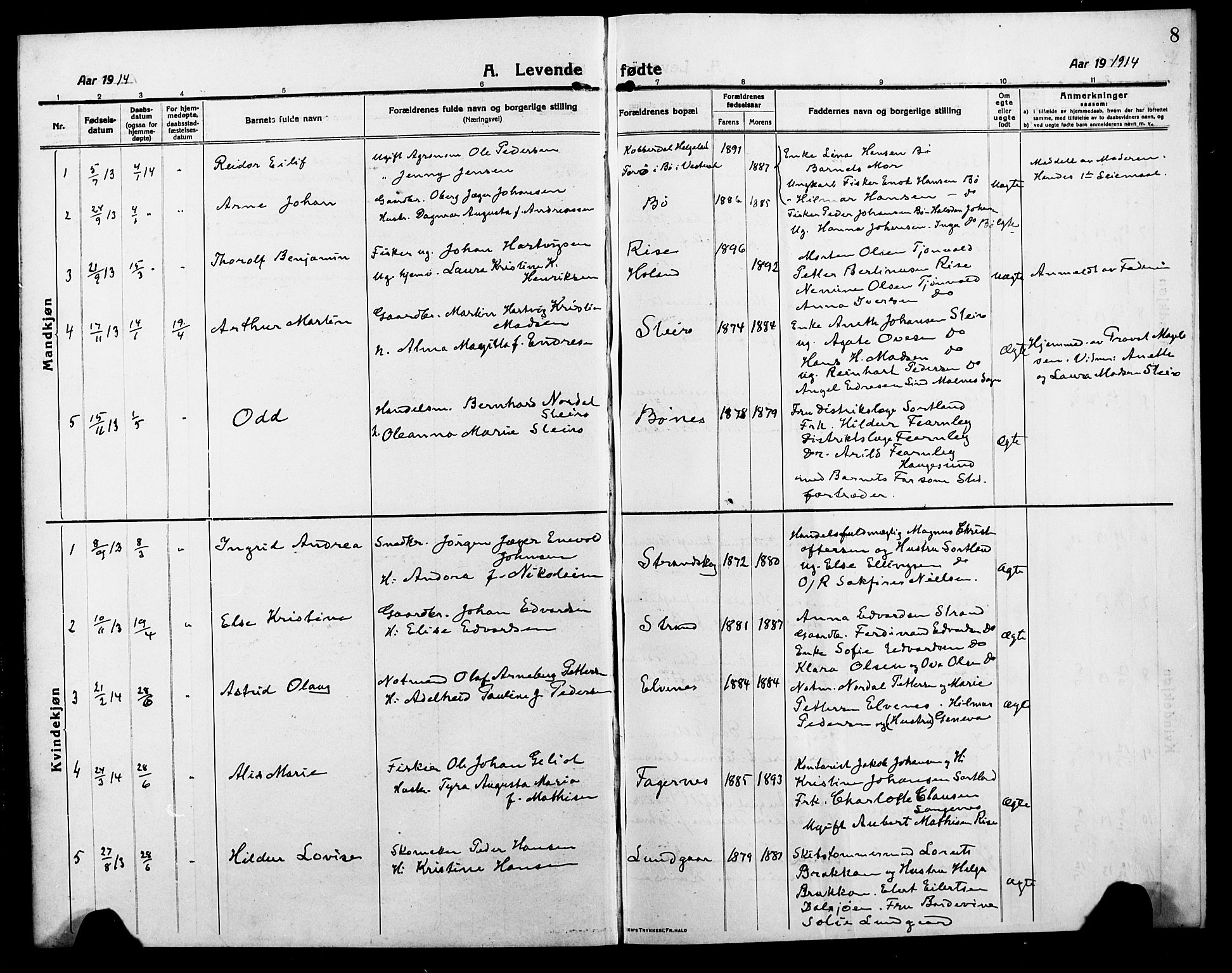Ministerialprotokoller, klokkerbøker og fødselsregistre - Nordland, SAT/A-1459/895/L1383: Parish register (copy) no. 895C05, 1913-1922, p. 8
