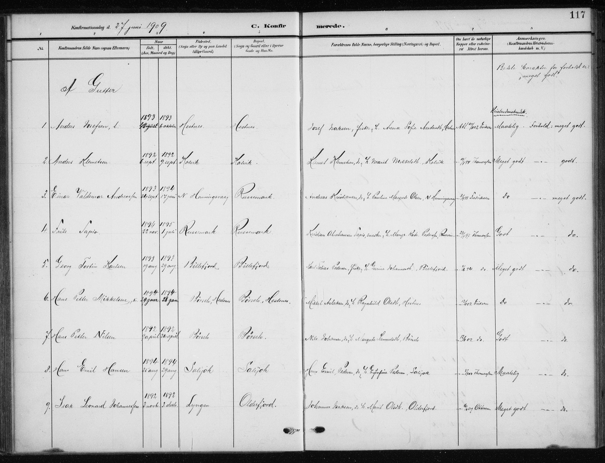 Kistrand/Porsanger sokneprestembete, SATØ/S-1351/H/Ha/L0014.kirke: Parish register (official) no. 14, 1908-1917, p. 117