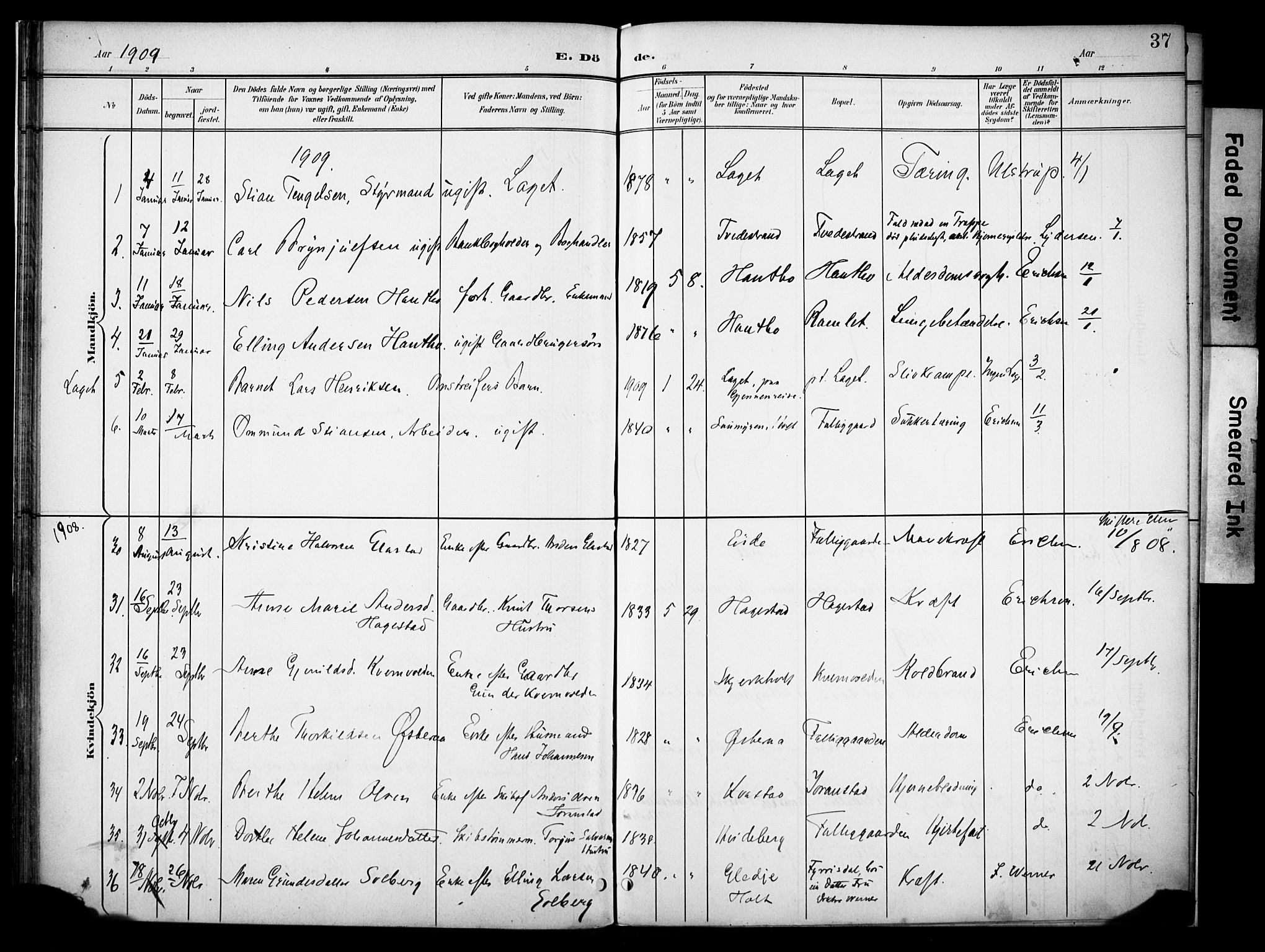 Holt sokneprestkontor, SAK/1111-0021/F/Fa/L0013: Parish register (official) no. A 13, 1900-1912, p. 37