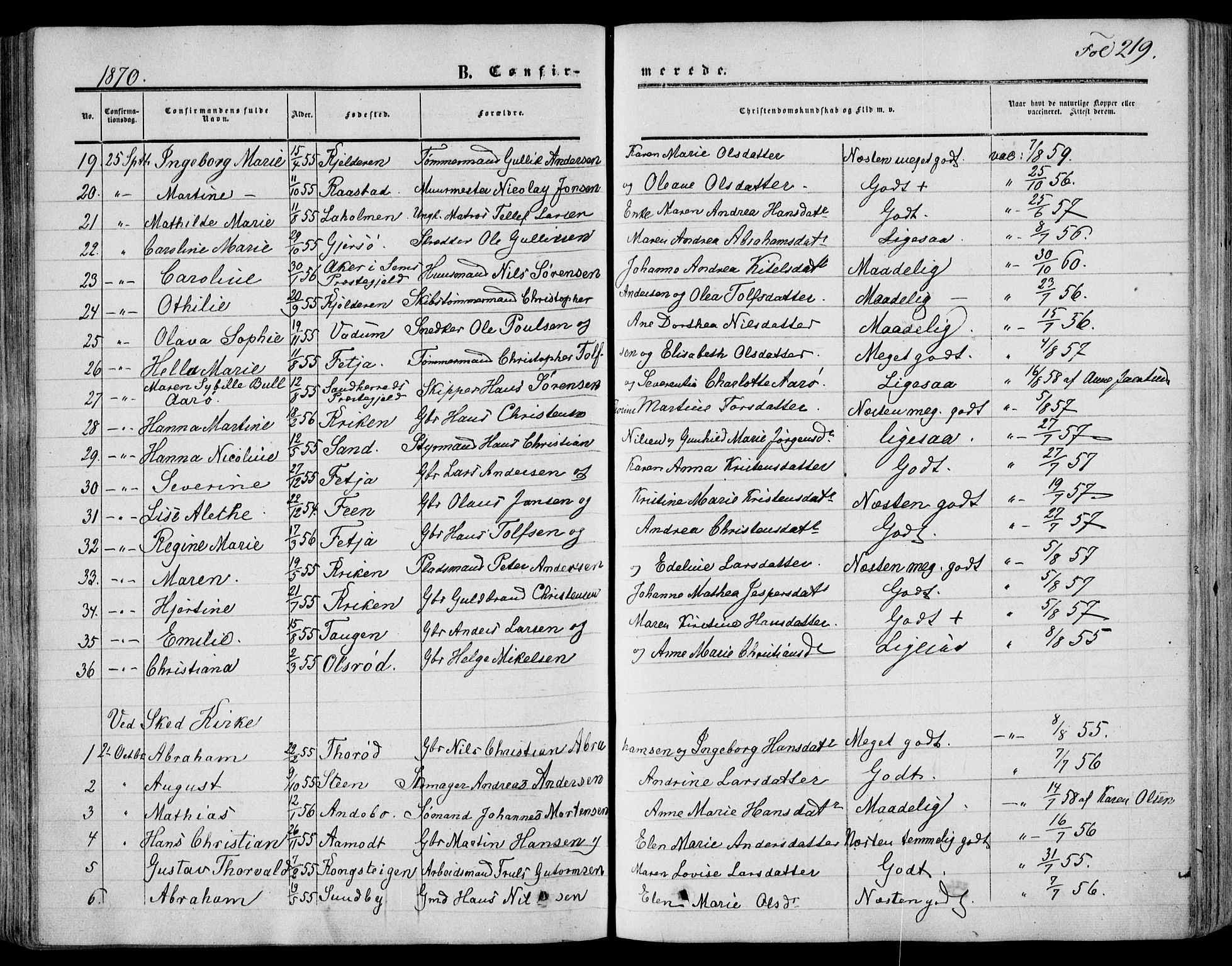 Stokke kirkebøker, AV/SAKO-A-320/F/Fa/L0008: Parish register (official) no. I 8, 1858-1871, p. 219