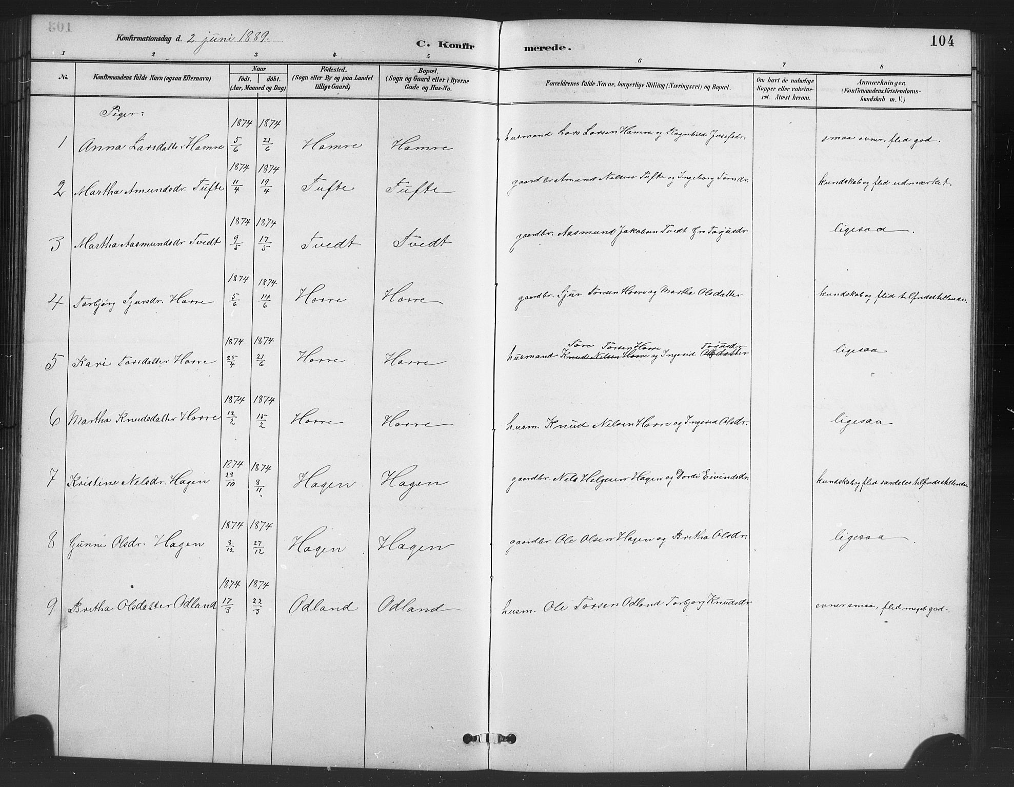 Røldal sokneprestembete, SAB/A-100247: Parish register (copy) no. A 3, 1887-1917, p. 104